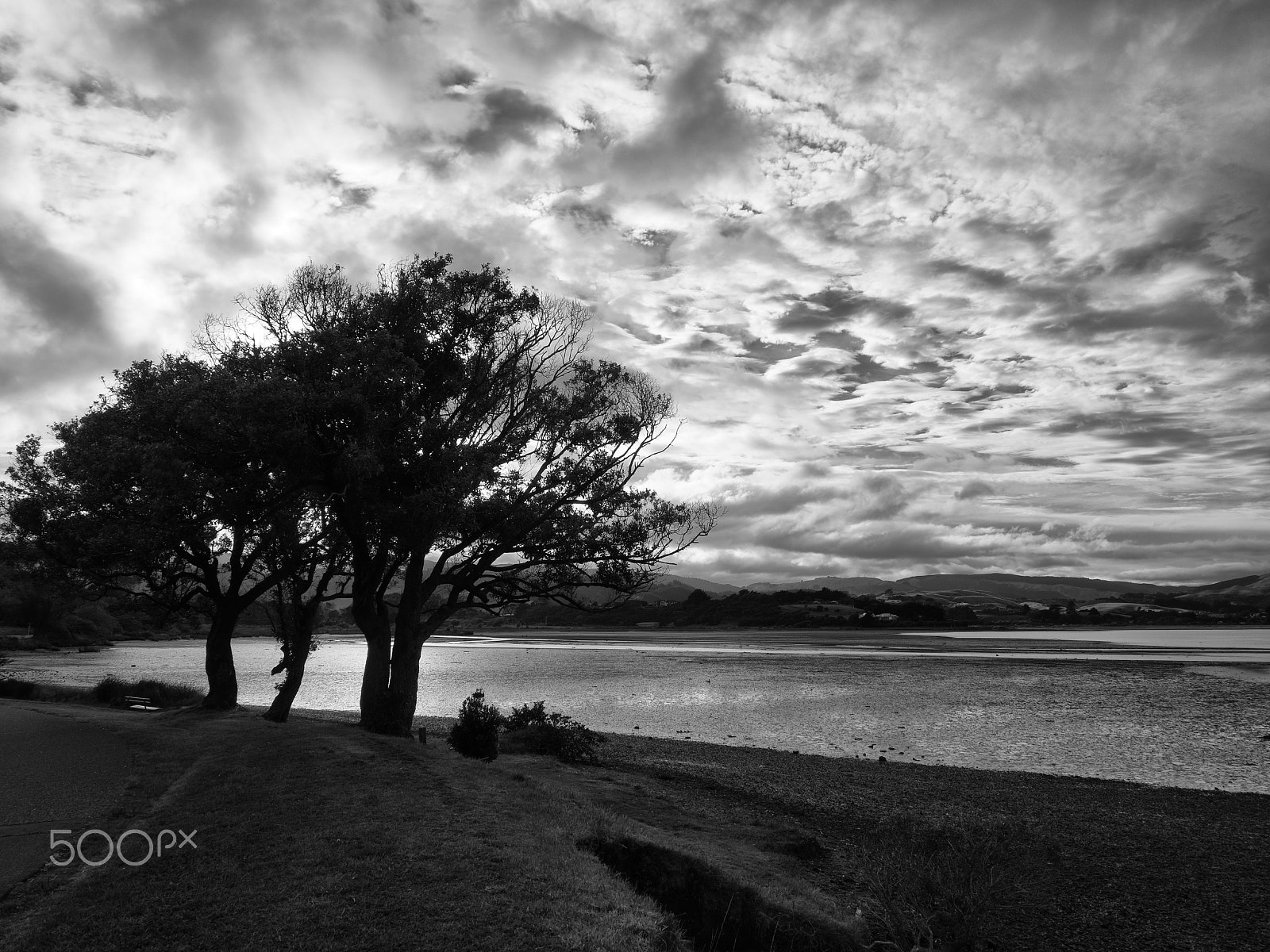 Olympus OM-D E-M5 II sample photo. Pauahatanui inlet photography
