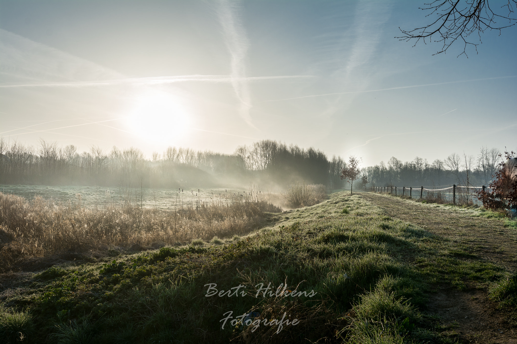 Nikon D7100 + Tamron SP 15-30mm F2.8 Di VC USD sample photo. Misty morning photography