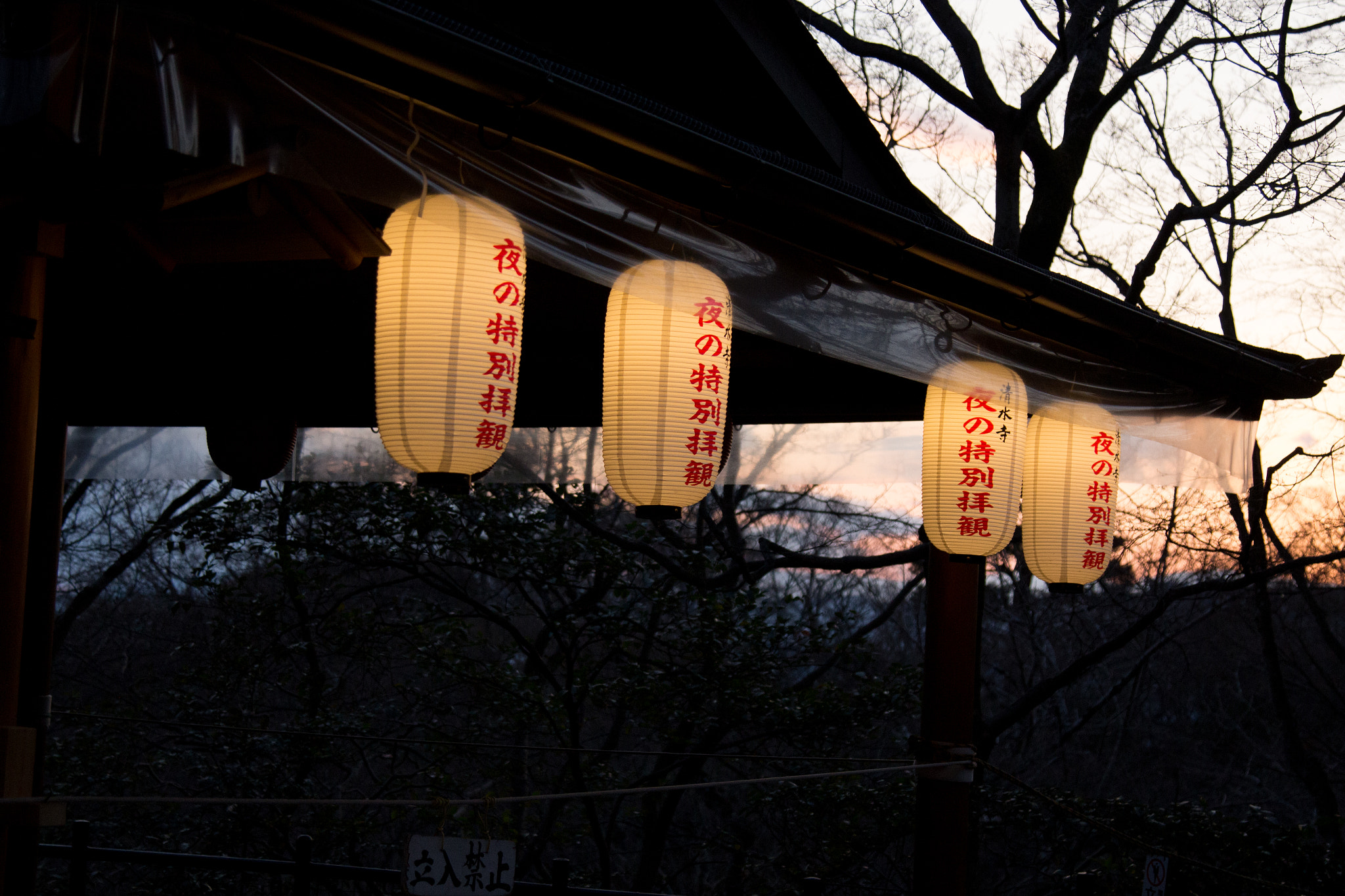 Canon EOS 700D (EOS Rebel T5i / EOS Kiss X7i) + Canon EF 24-105mm F4L IS USM sample photo. Lanterns photography
