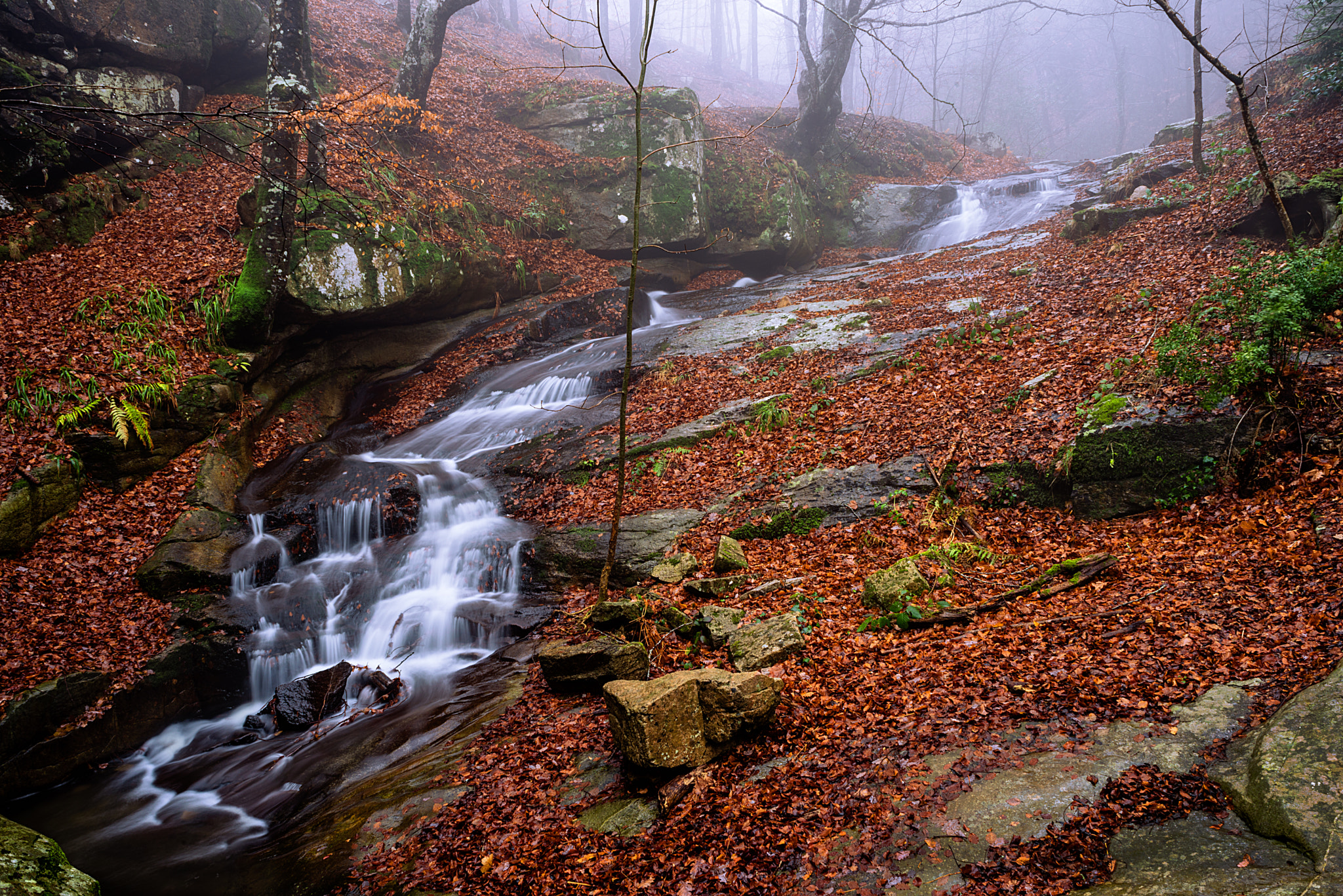 Nikon D610 + AF Nikkor 28mm f/2.8 sample photo. Montseny photography