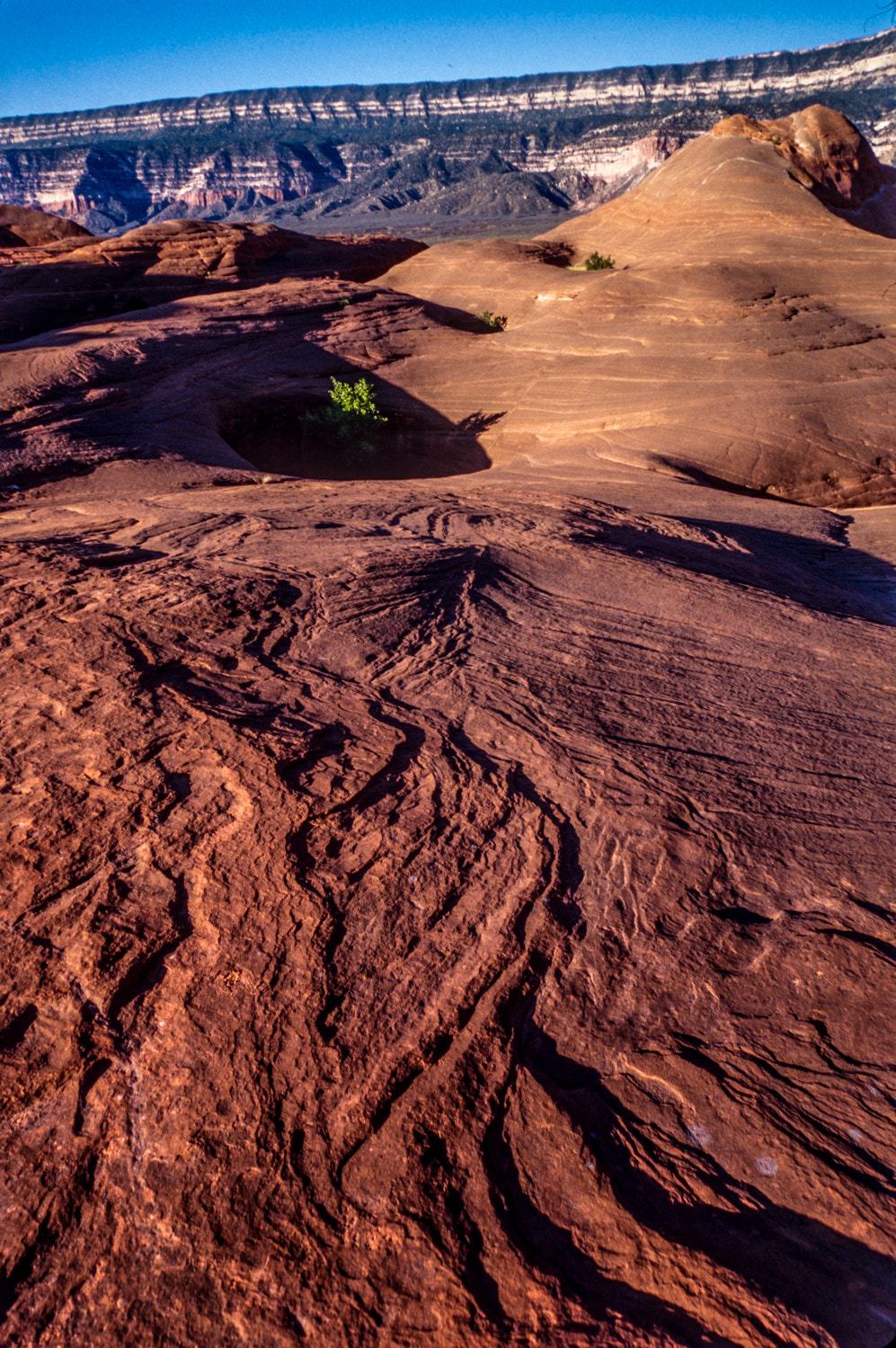 Nikon D750 + AF Micro-Nikkor 60mm f/2.8 sample photo. Grandstaircase photography