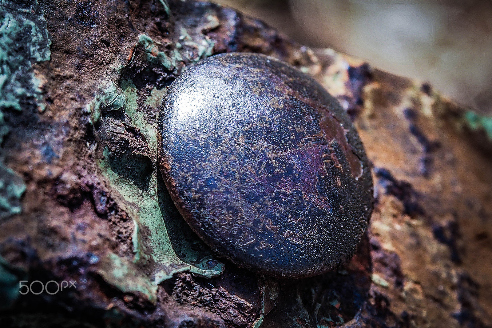 Olympus OM-D E-M5 + Olympus M.Zuiko Digital ED 12-40mm F2.8 Pro sample photo. Rusty iron photography