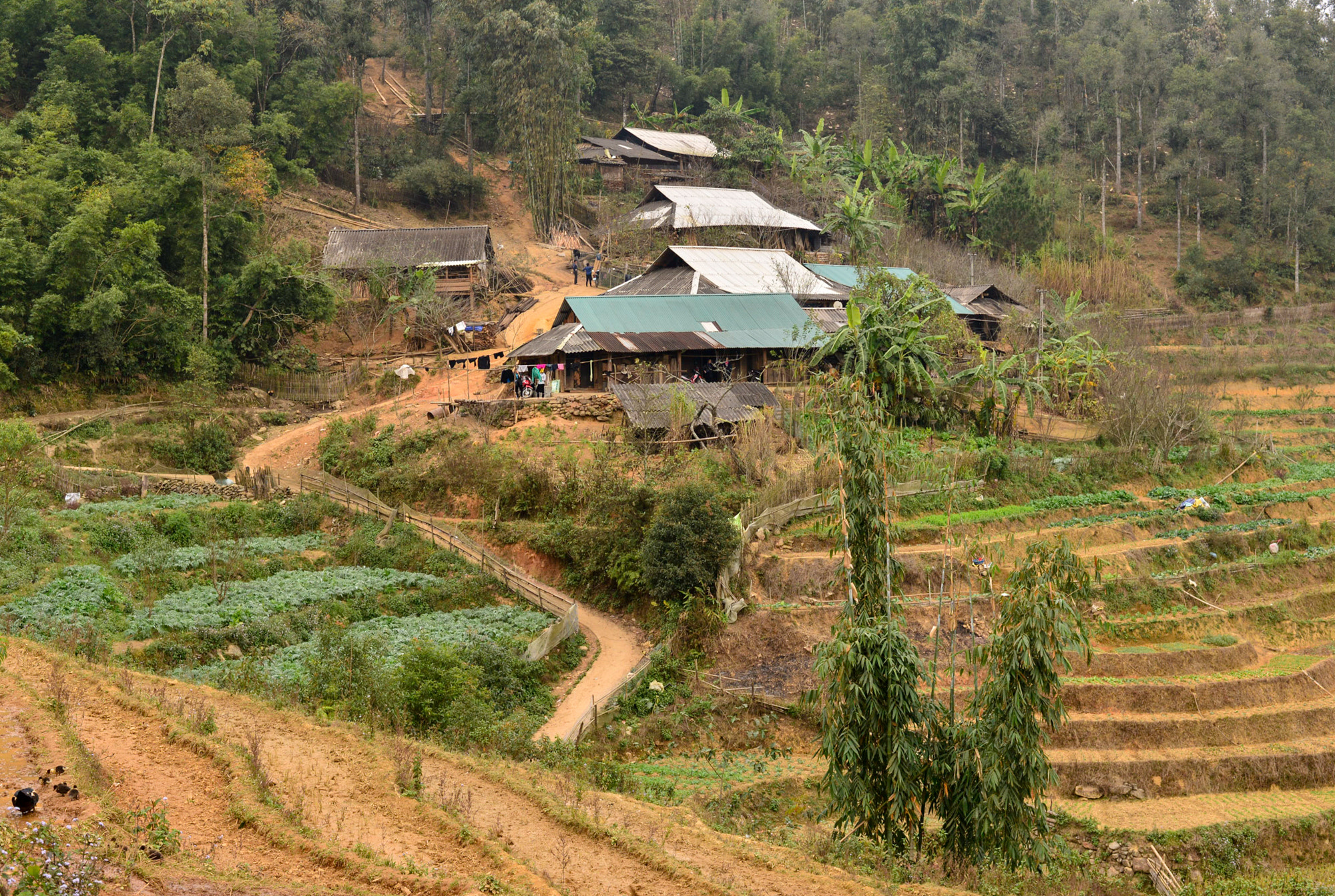 Nikon D600 + Nikon AF-S Nikkor 50mm F1.8G sample photo. Sapa hmong village photography