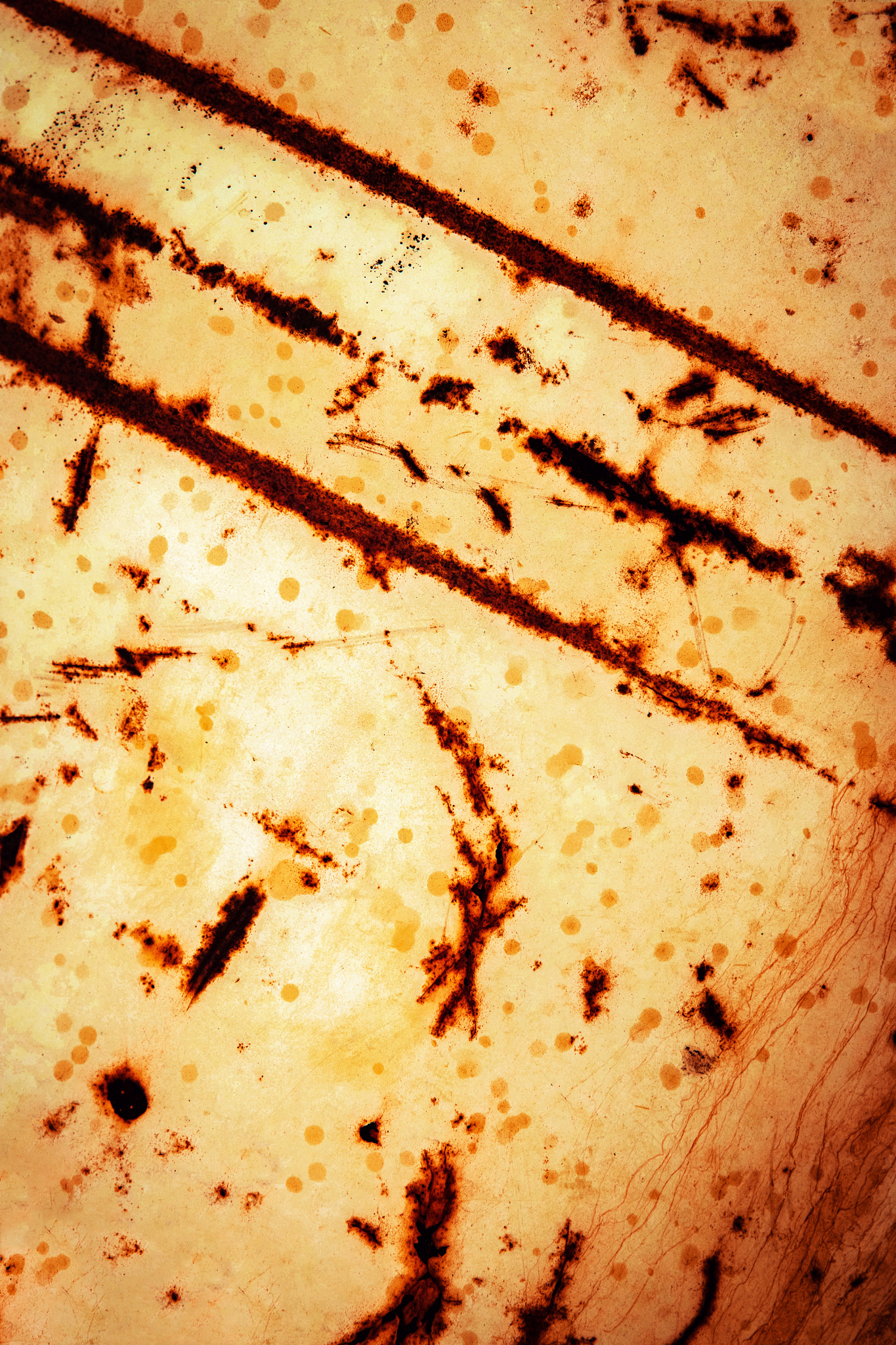 Nikon D5500 sample photo. Detail of an old rusty barrel photography