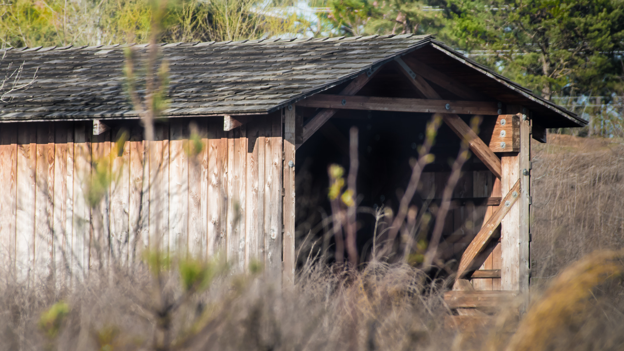 Nikon D5500 + Sigma 70-300mm F4-5.6 DG Macro sample photo. A bridge too far photography