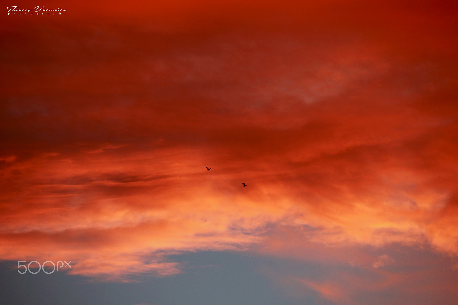 Sigma 18-250mm F3.5-6.3 DC OS HSM sample photo. Bloody sunday photography