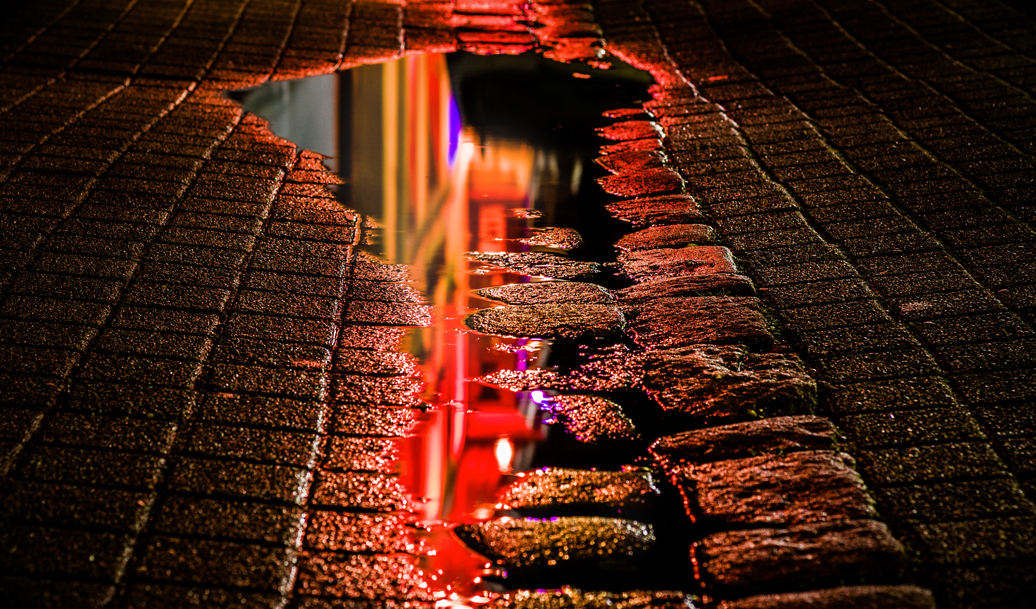 Canon EOS 1000D (EOS Digital Rebel XS / EOS Kiss F) sample photo. Puddle in the red-light districts photography