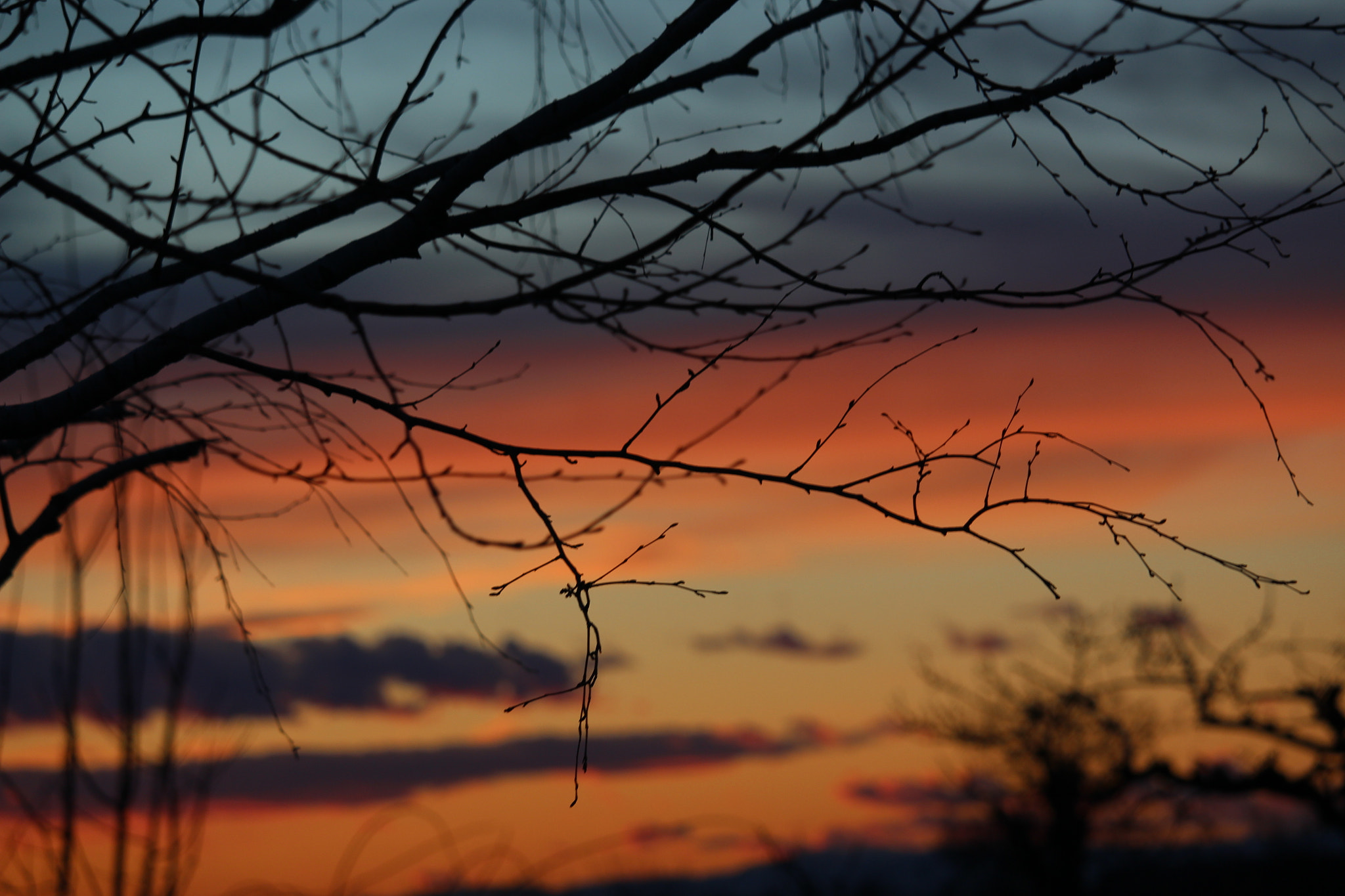 Canon EF-S 55-250mm F4-5.6 IS STM sample photo