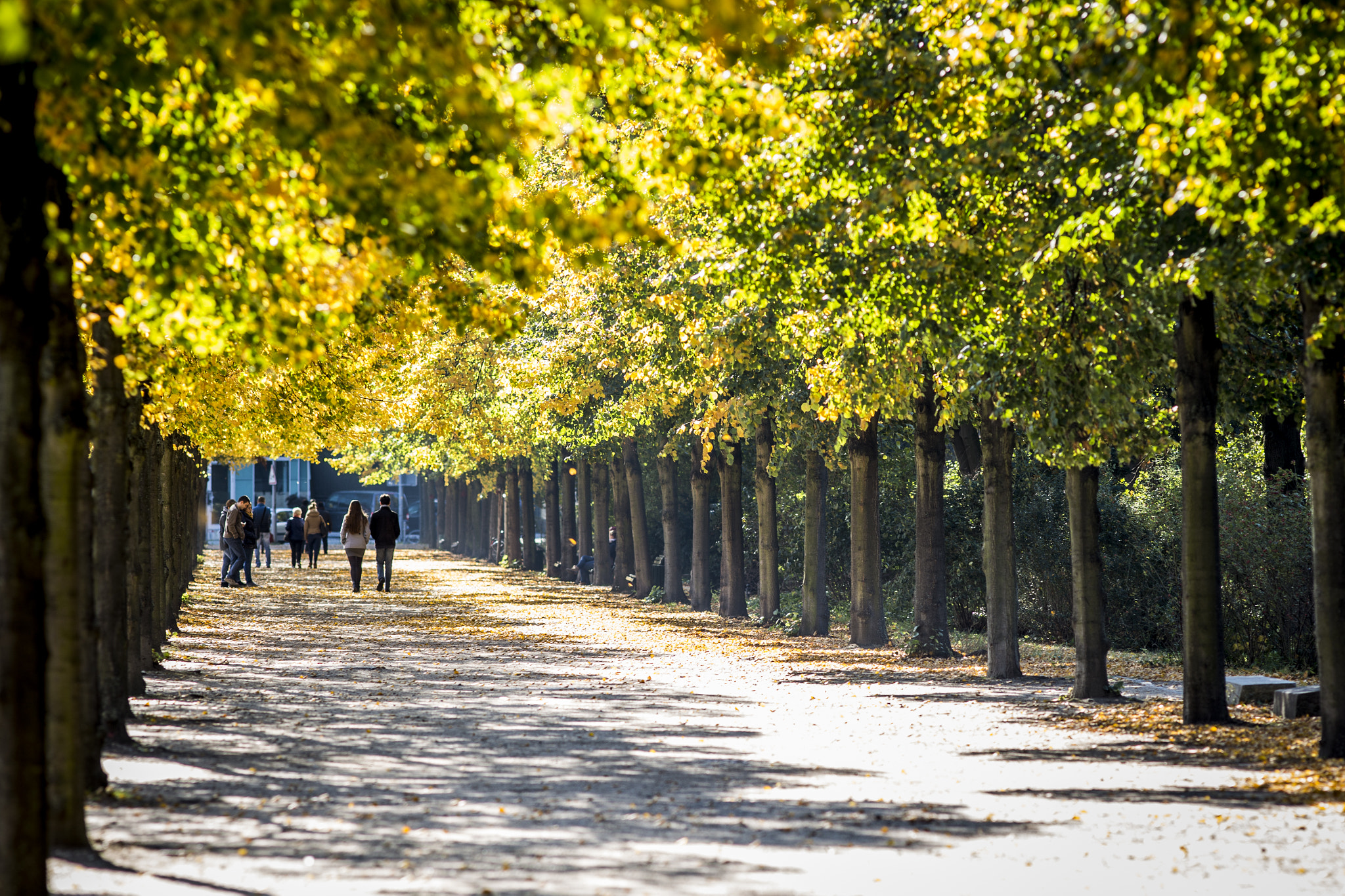 Canon EF 200mm F2.8L II USM sample photo. Berlin in autumn photography