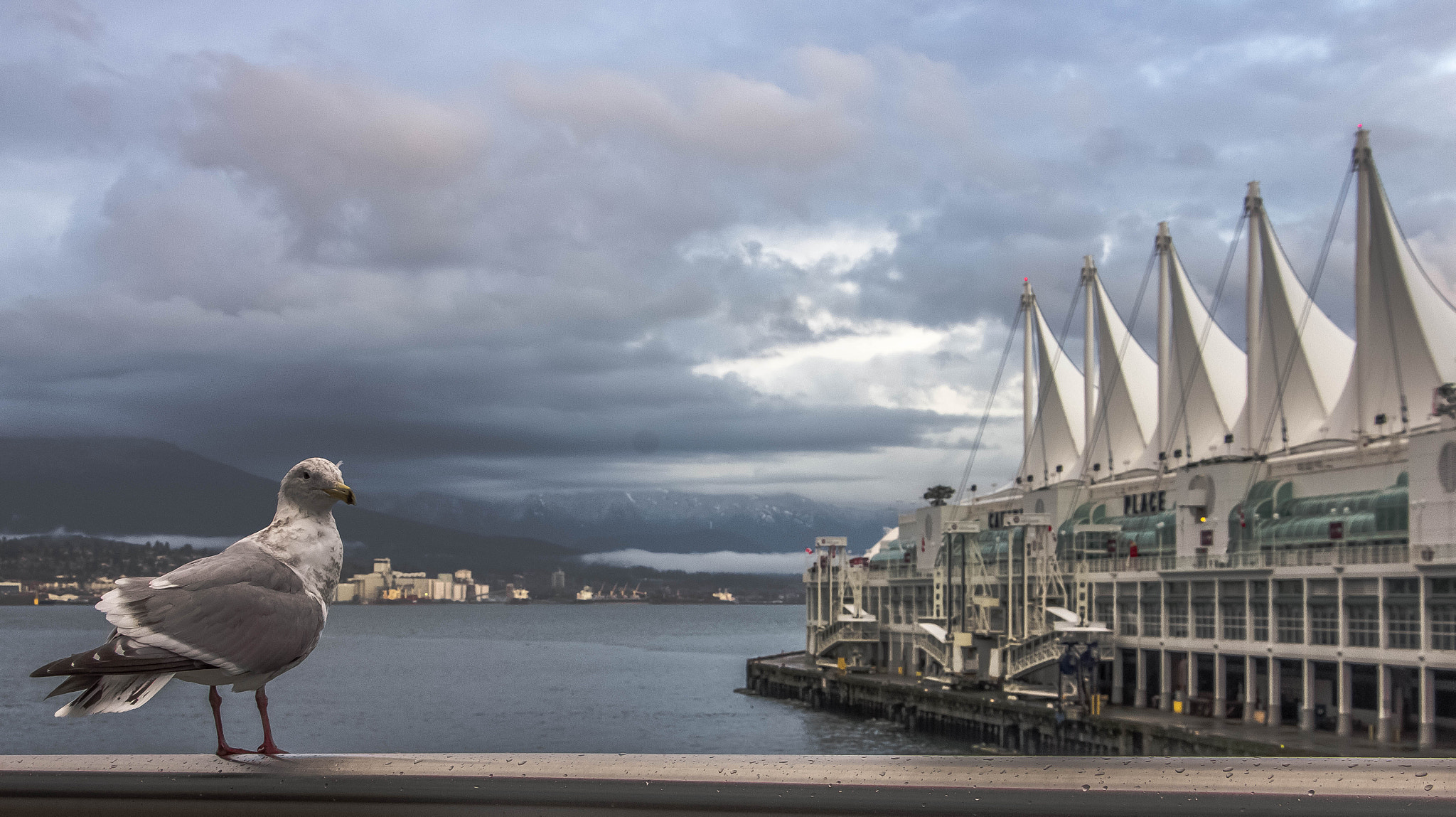 Canon EOS 60D sample photo. Canada place photography