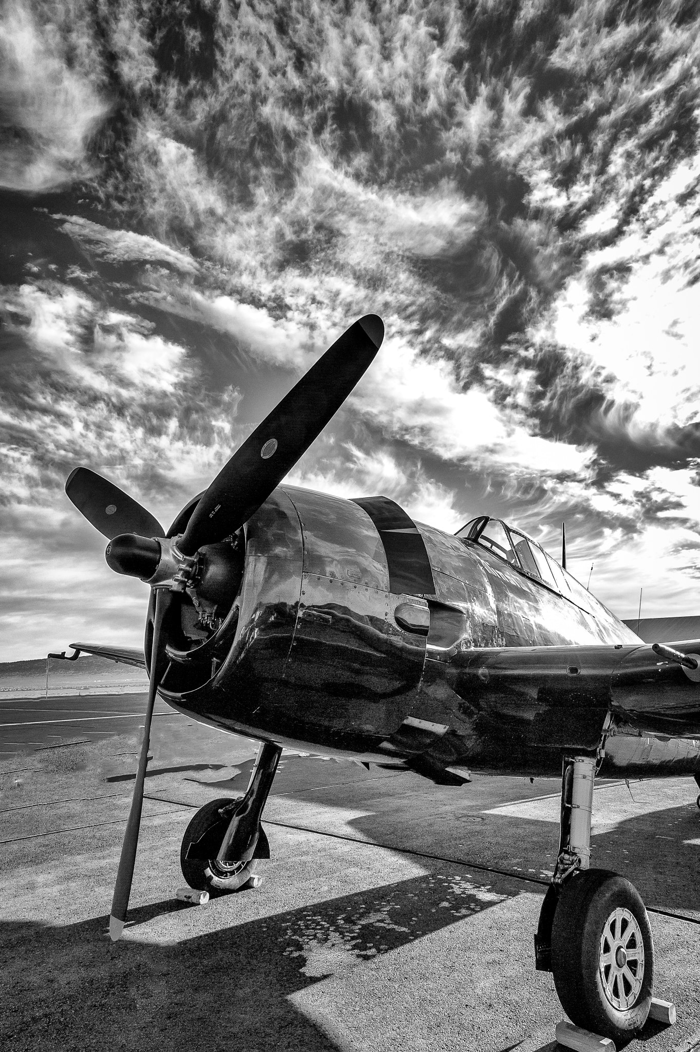 B&W F6F Hellcat