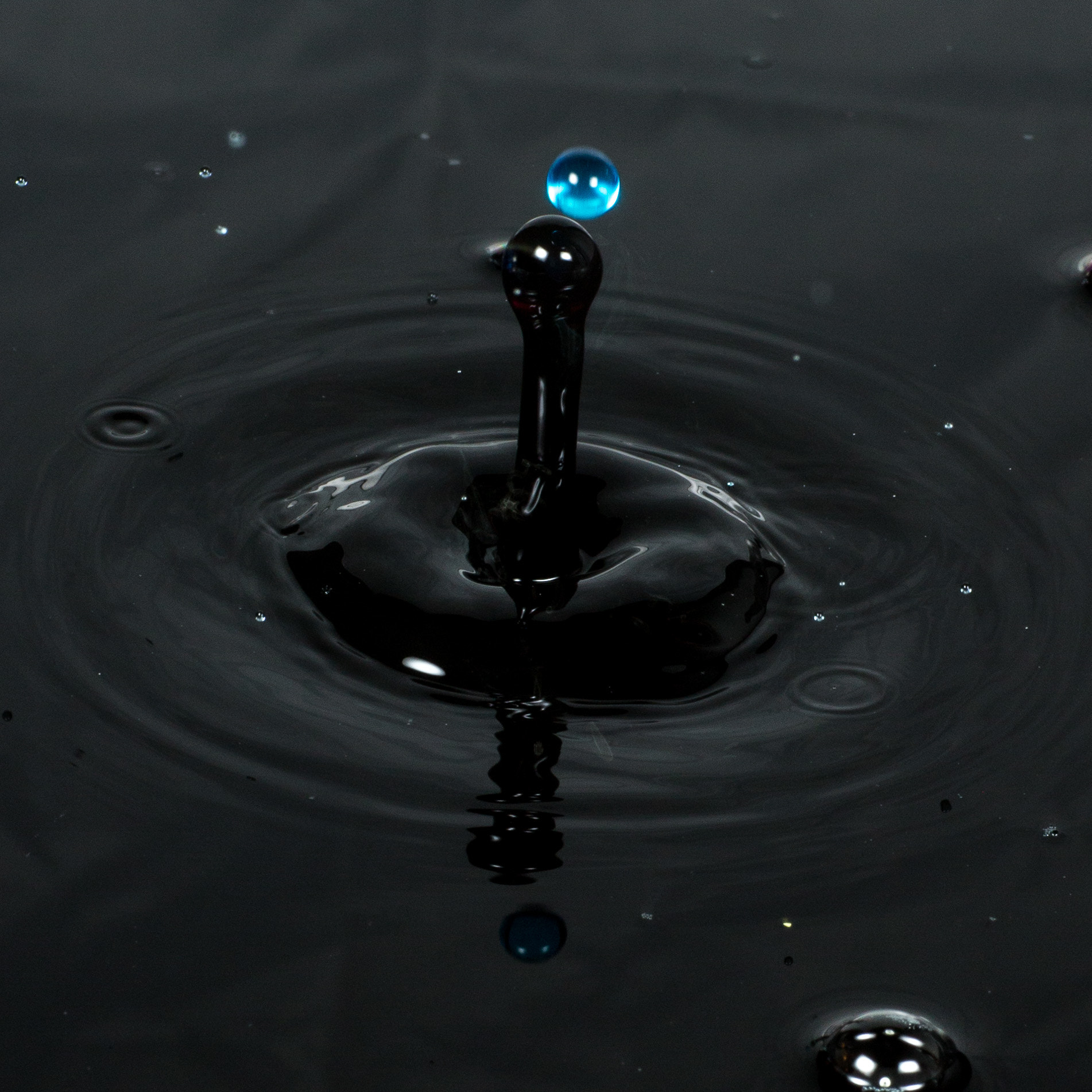 Sigma 70mm F2.8 EX DG Macro sample photo. Near miss! photography