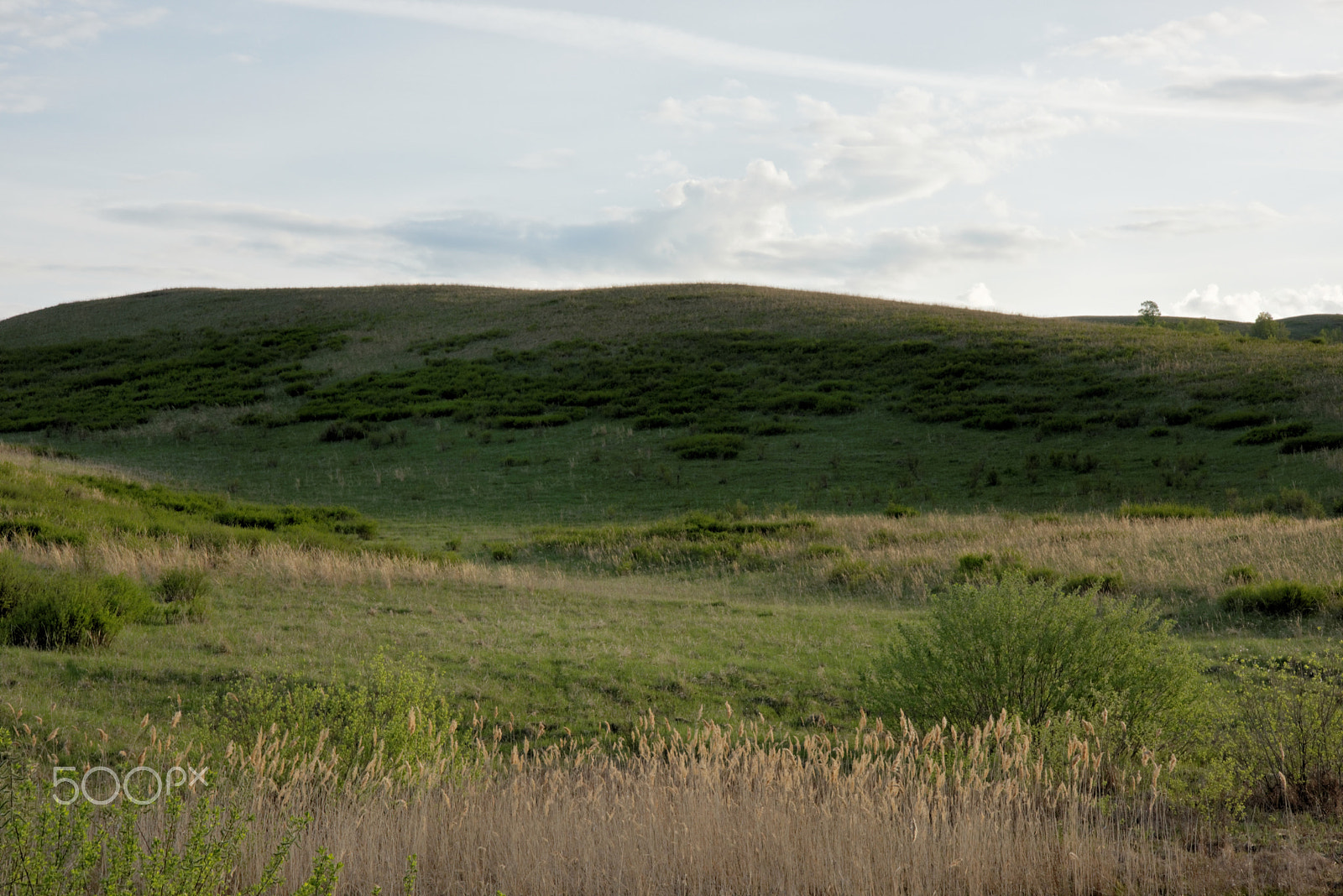 Nikon D810 sample photo. Highland photography