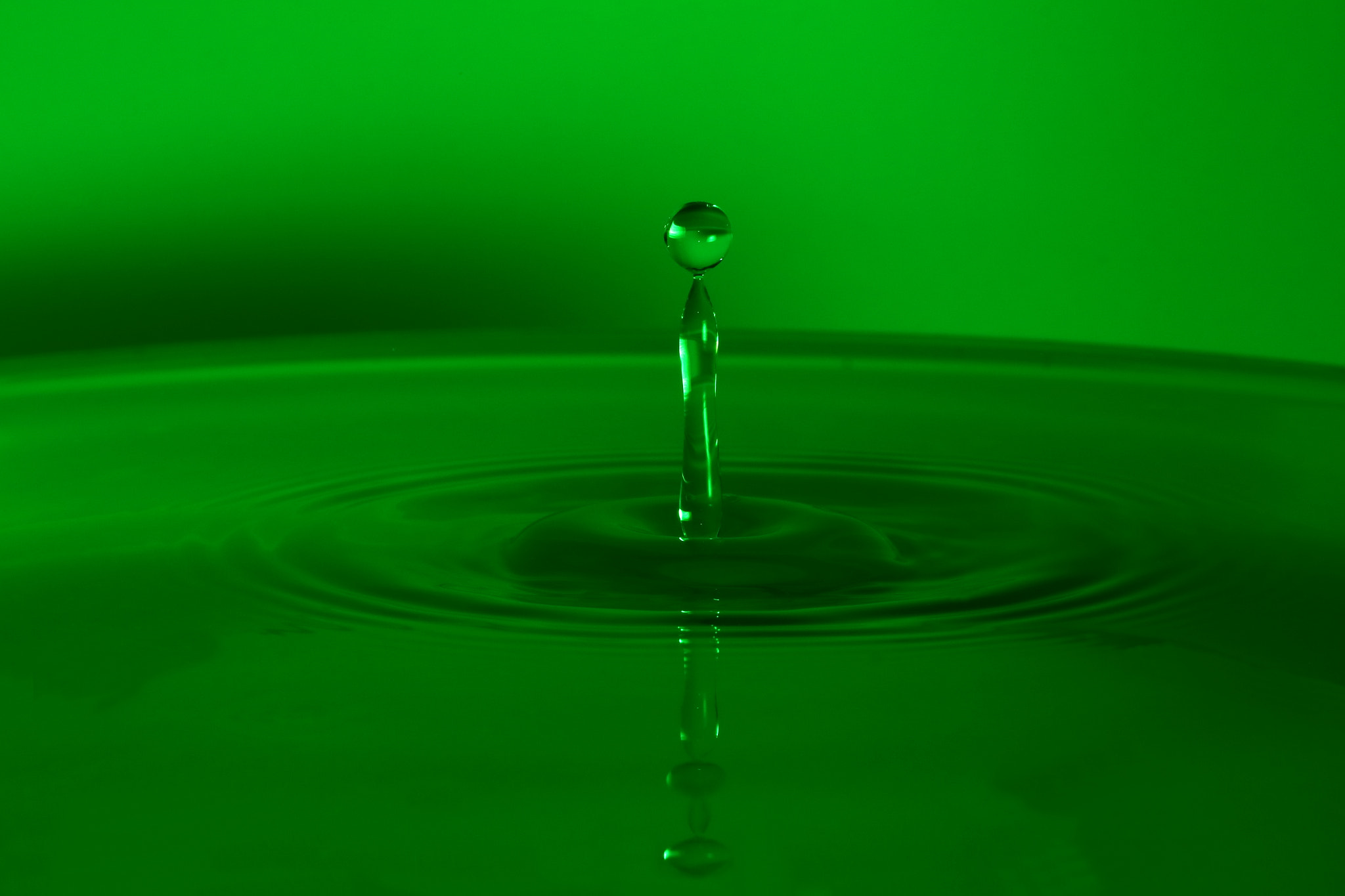 Canon EF-S 60mm F2.8 Macro USM sample photo. Waterproof photography