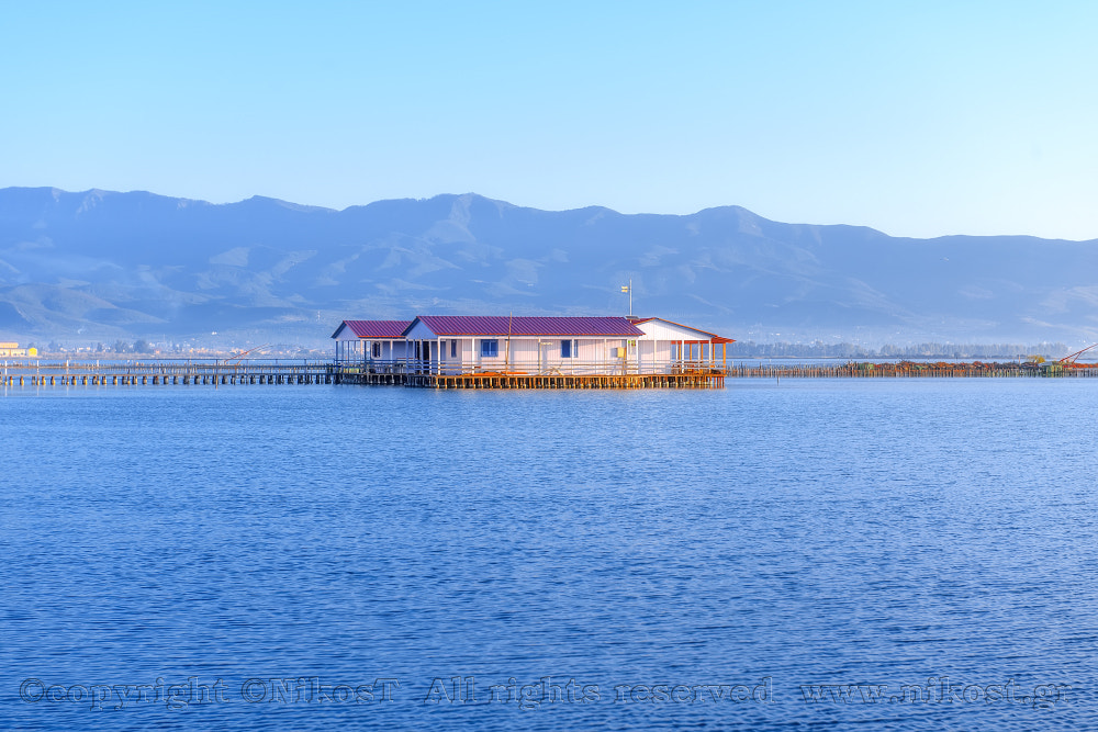 Nikon D3X sample photo. Copy photography