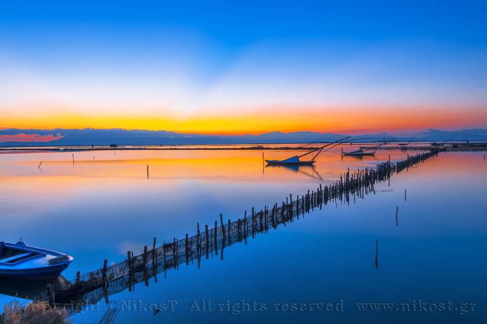 Nikon D3X sample photo. Copy photography