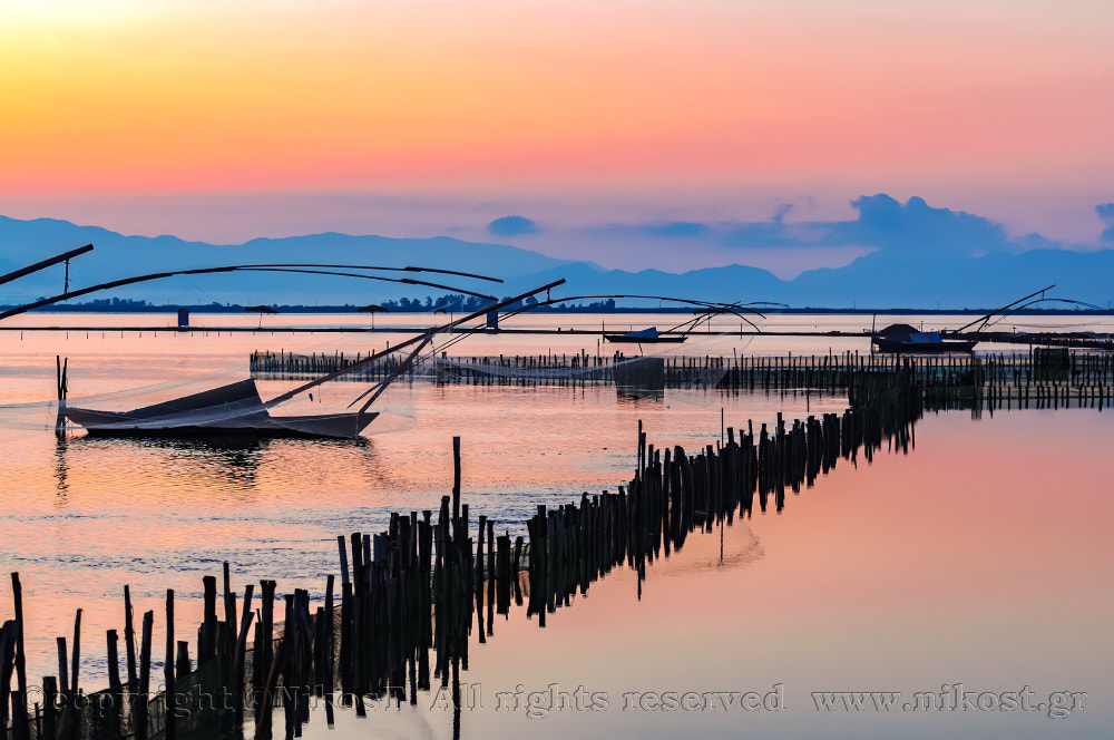 Nikon D300 sample photo. Copy photography