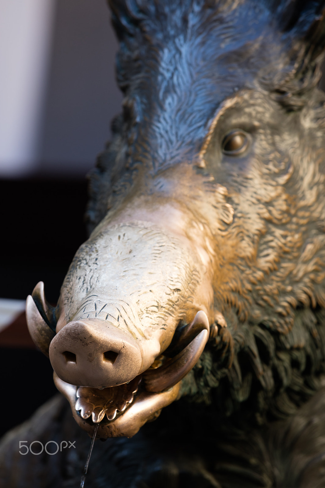 Canon EOS 5DS R sample photo. Fonte del porcellino, florence photography