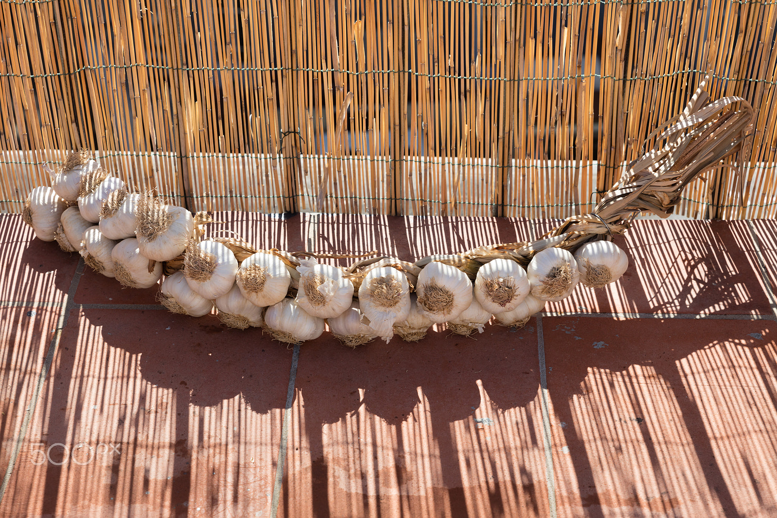 Sigma 24-70mm F2.8 EX DG Macro sample photo. A garlic braid photography