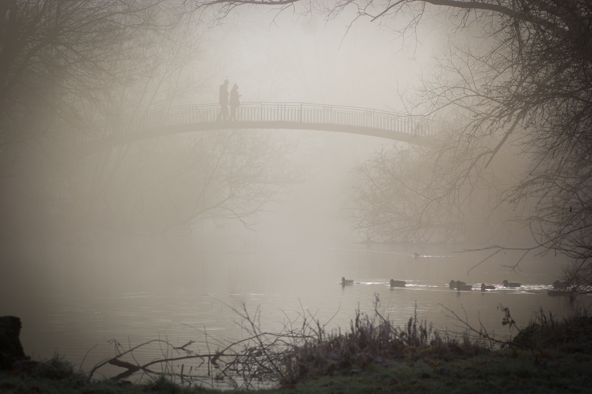 Canon EOS 60D + Canon EF 85mm F1.8 USM sample photo. Oxford walk photography