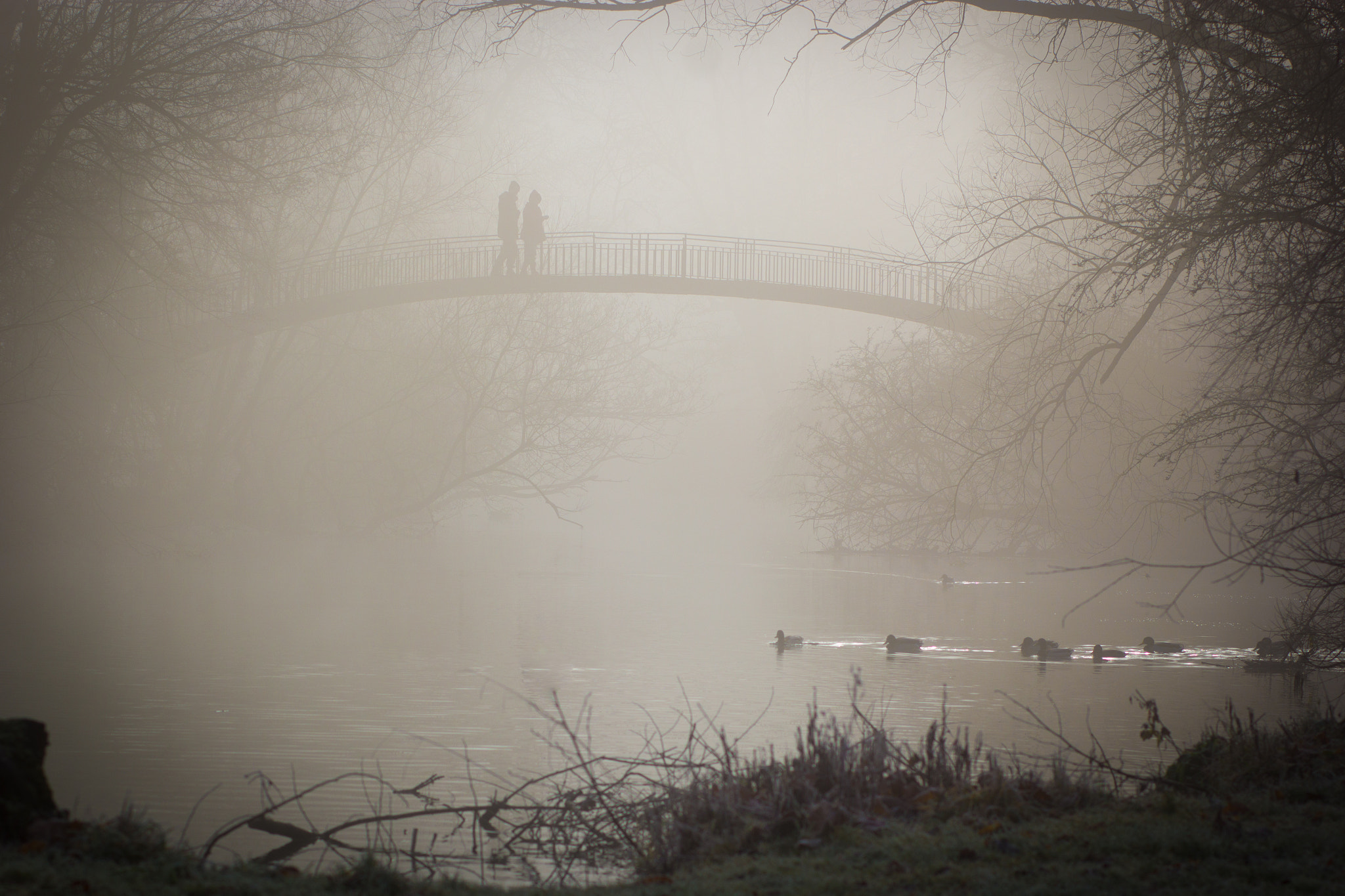 Canon EOS 60D sample photo. Oxford walk photography