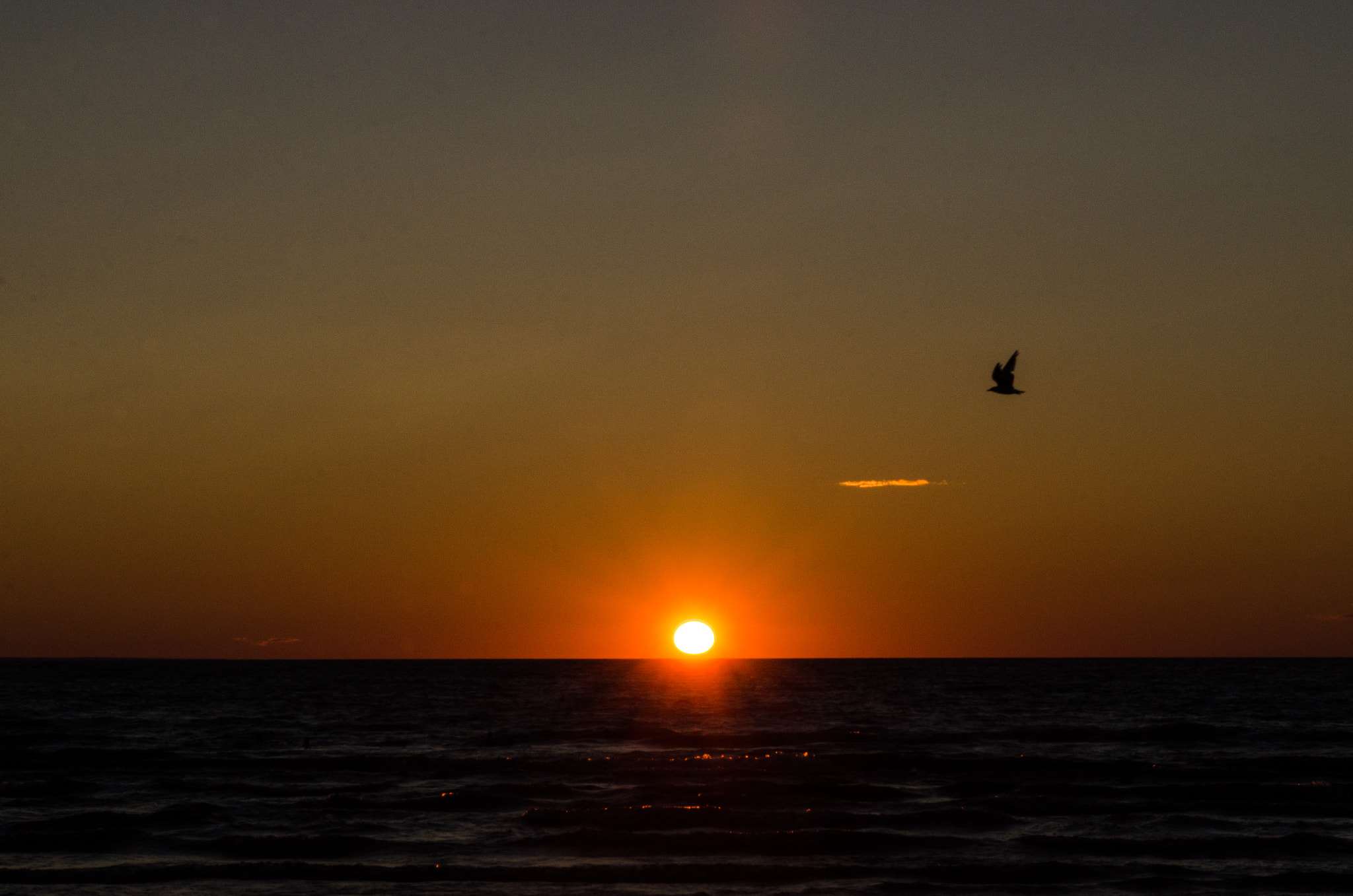 Nikon AF-S Nikkor 24-70mm F2.8G ED sample photo. Wasaga photography