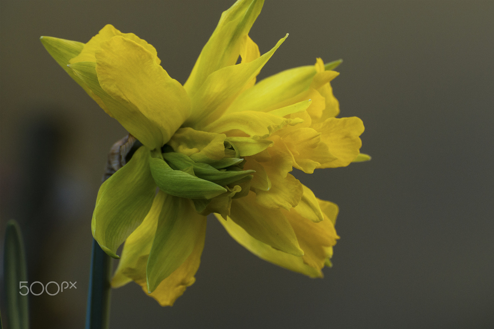 Nikon D3200 sample photo. Defiance photography