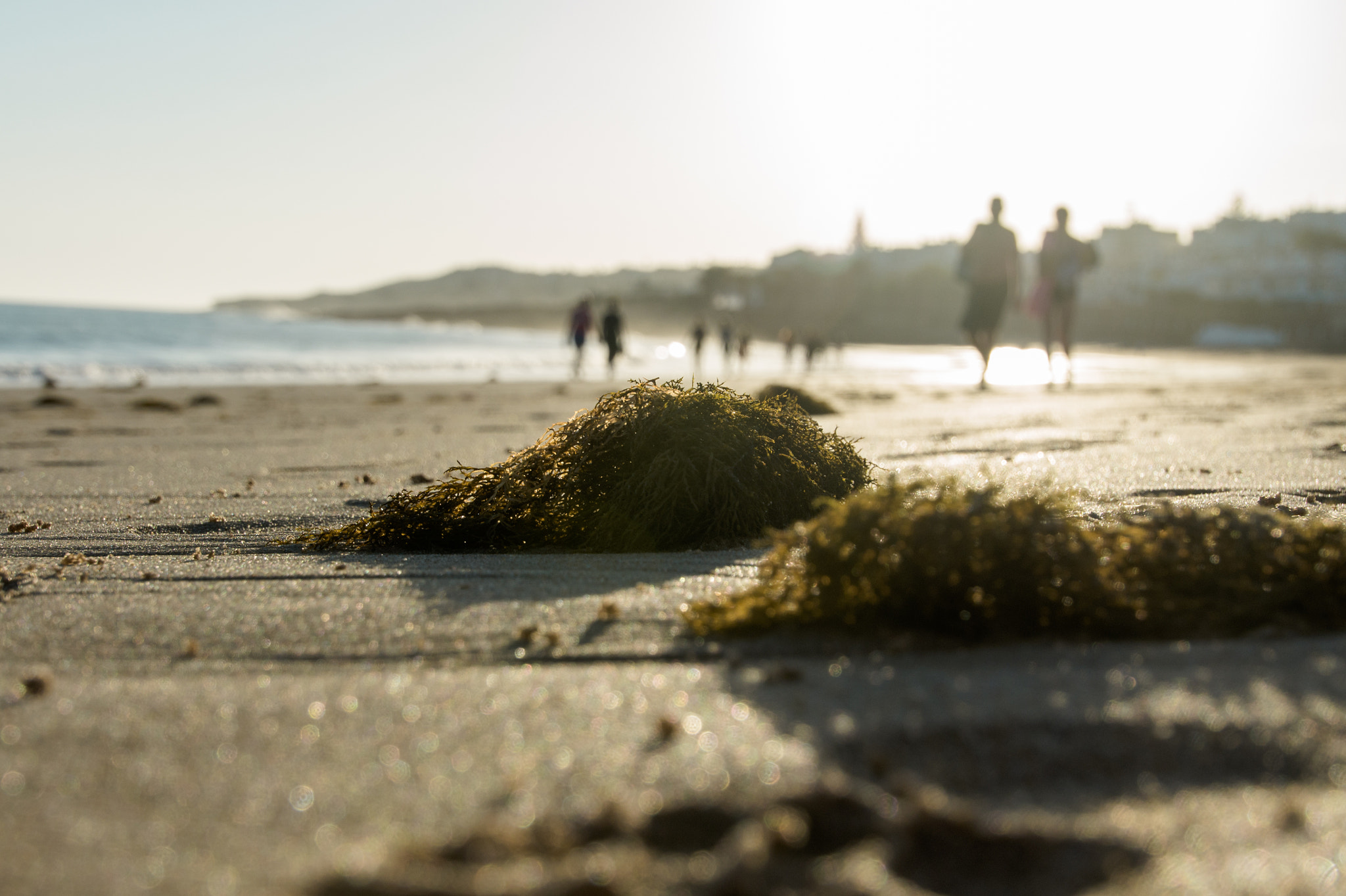 Sony E 18-200mm F3.5-6.3 OSS sample photo. Walk at the beach at sunset photography