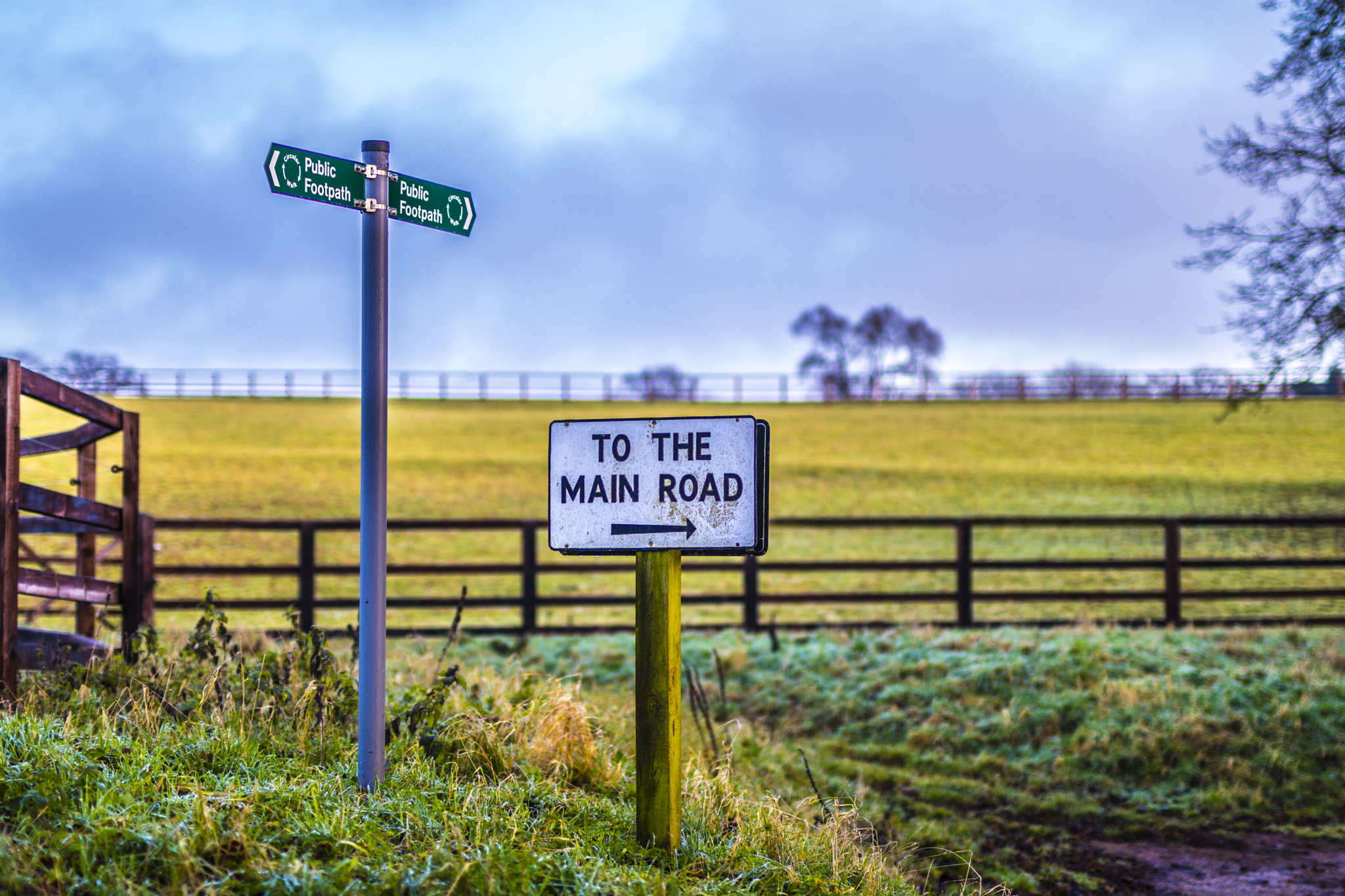 Canon EOS 80D + Sigma 50mm F1.4 EX DG HSM sample photo. To the main road. captured outside of huntingdon, cambridgeshire, england. photography