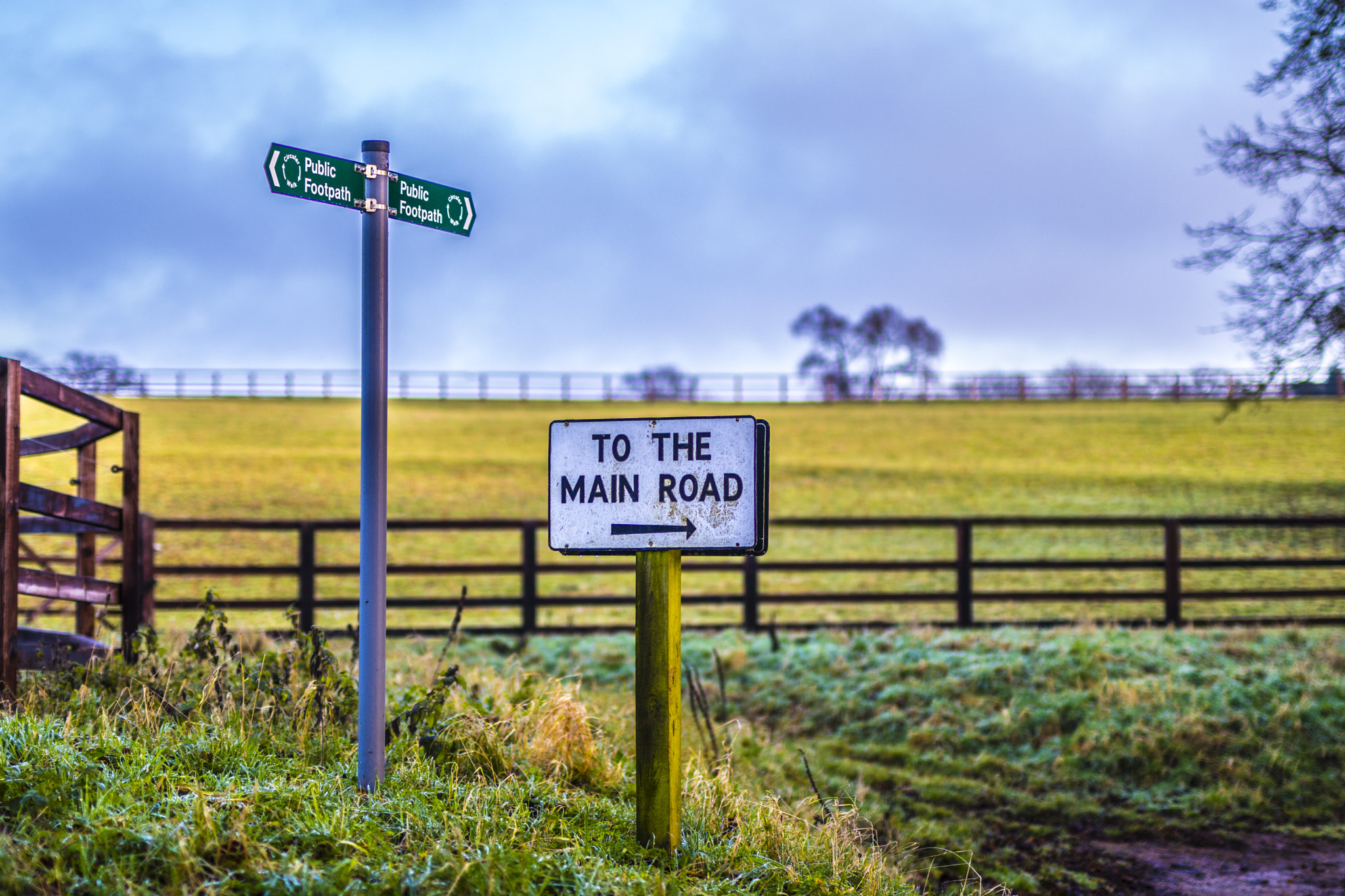 Sigma 50mm F1.4 EX DG HSM sample photo. To the main road. captured outside of huntingdon, cambridgeshire, england. photography