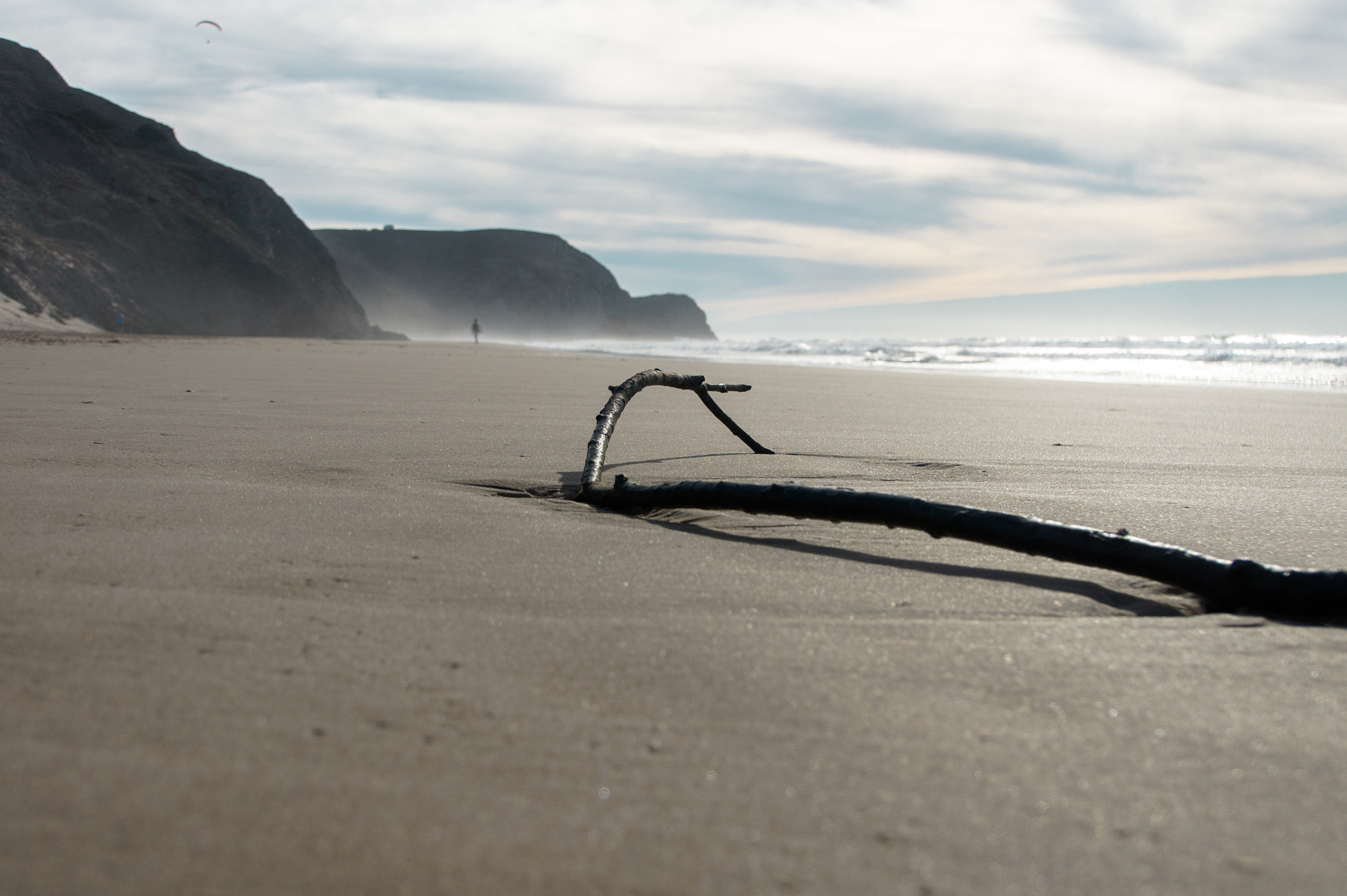 Sony E 18-200mm F3.5-6.3 OSS sample photo. Branch at the beach photography