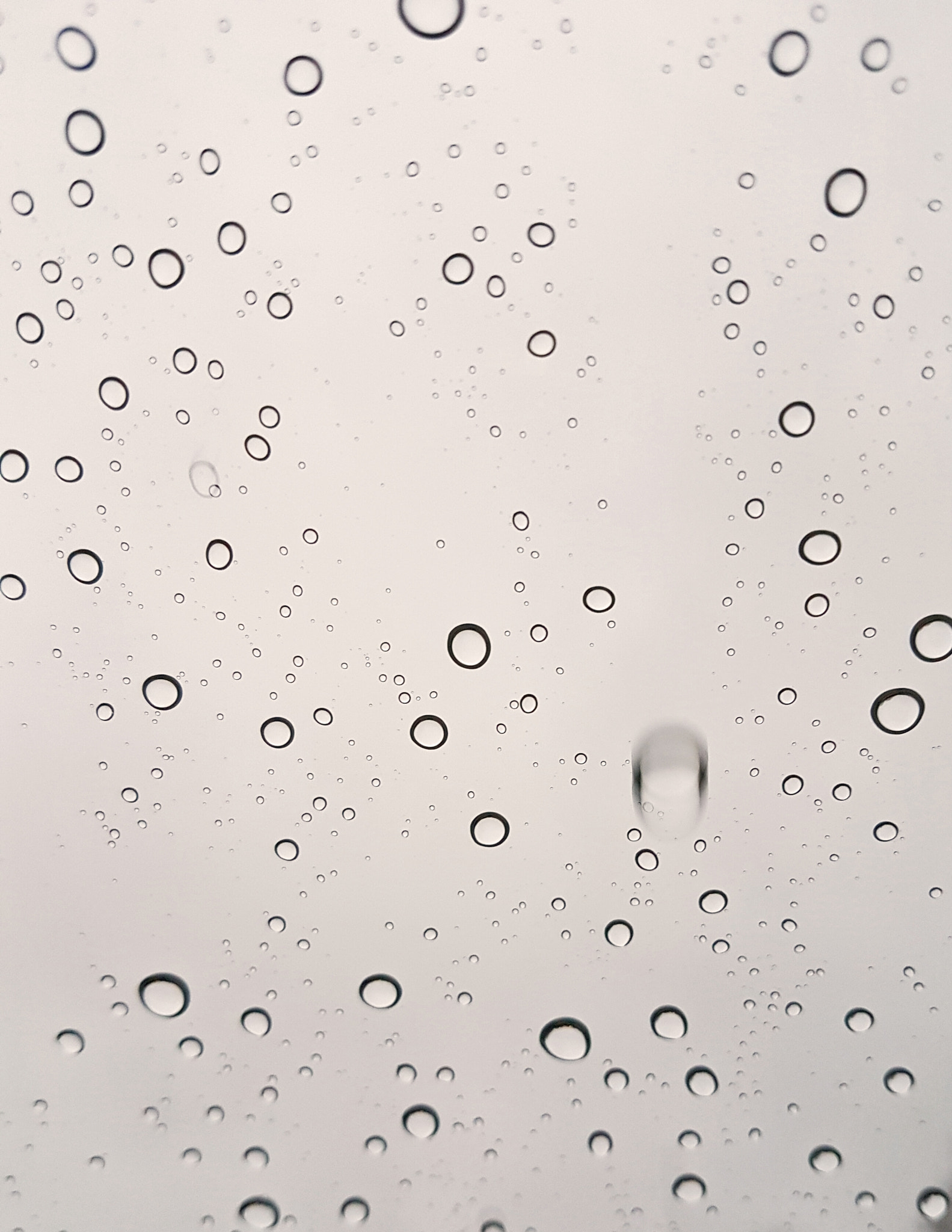 Samsung Galaxy S7 Rear Camera sample photo. Rainy day photography