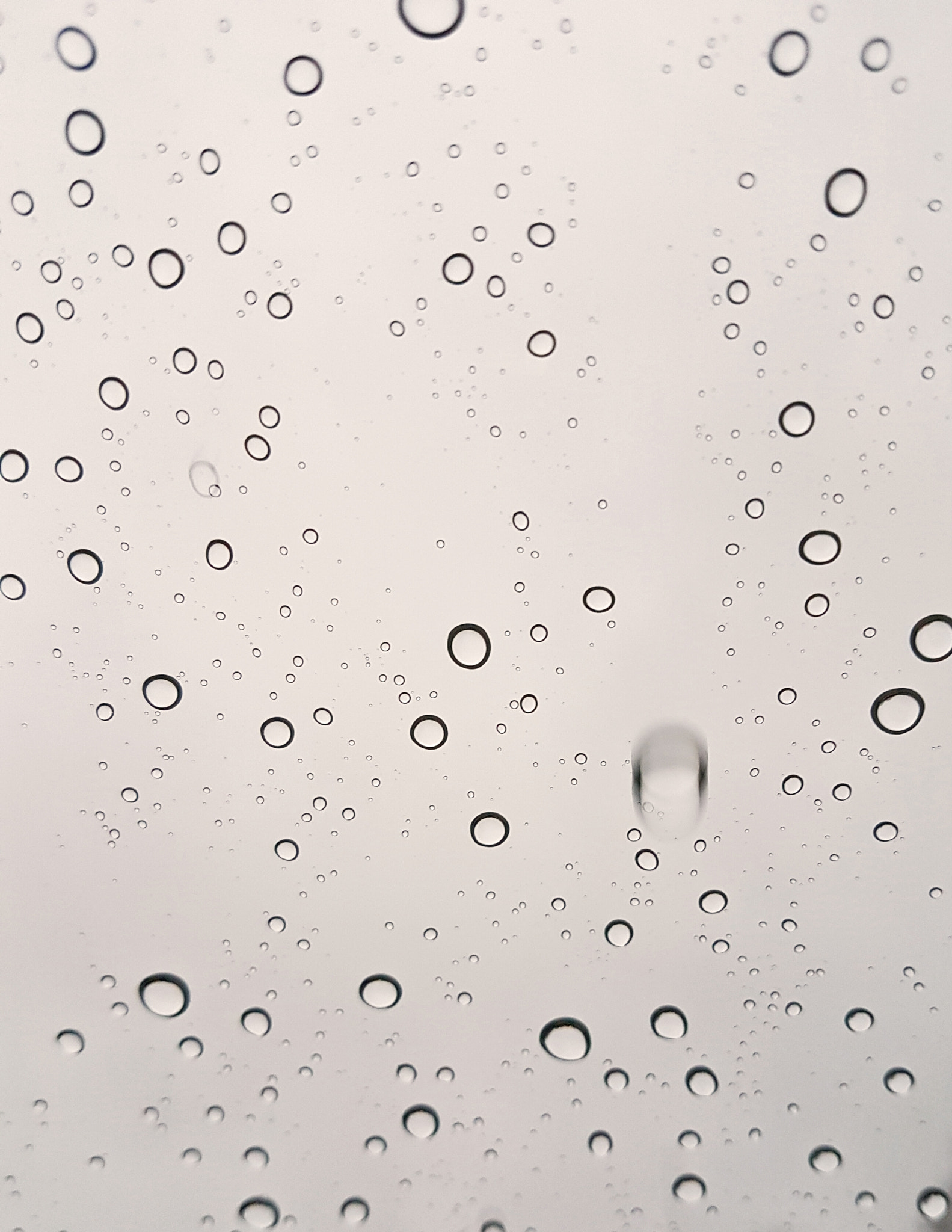 Samsung Galaxy S7 Rear Camera sample photo. Rainy day photography