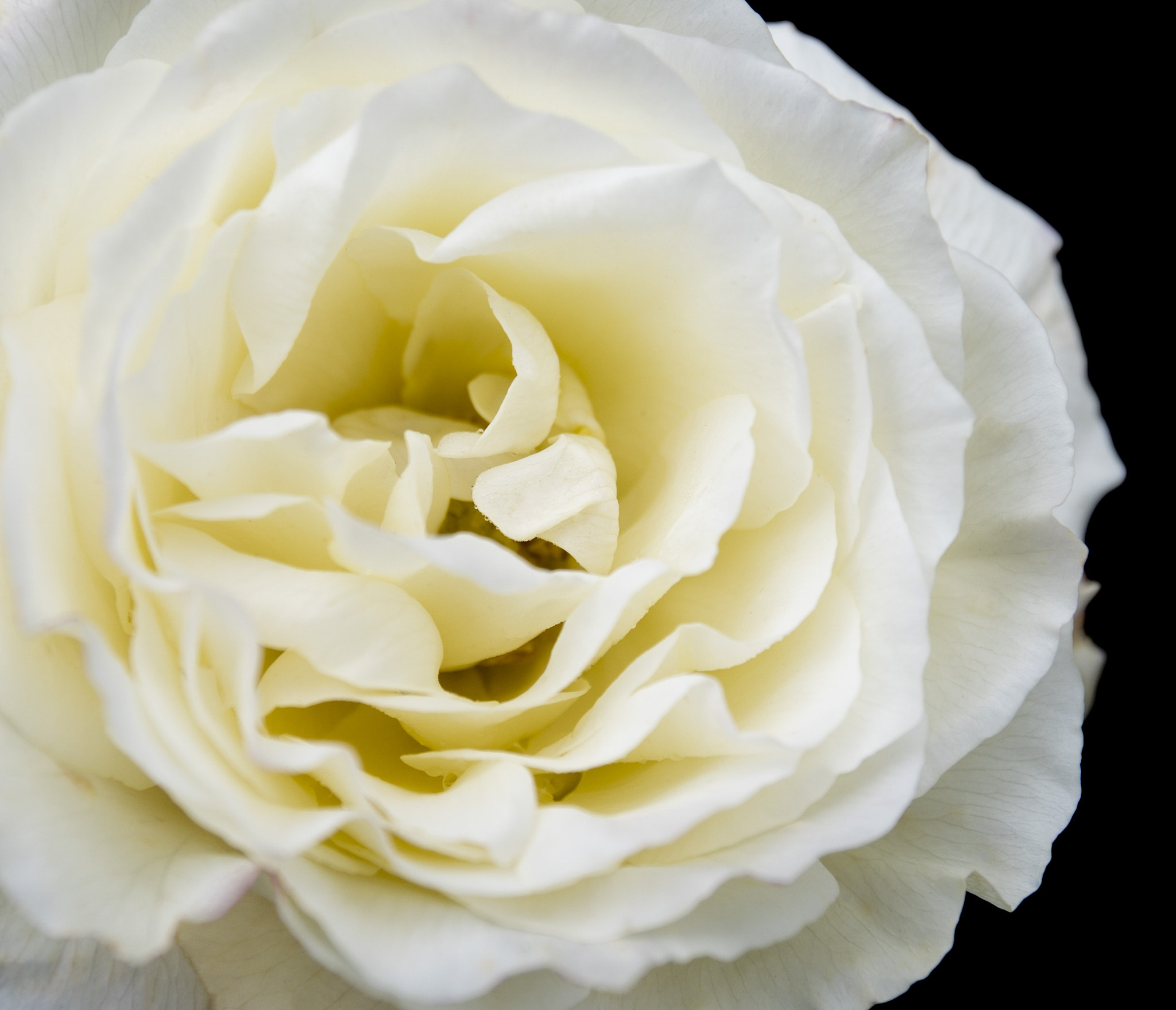 Canon EF 16-35mm F4L IS USM sample photo