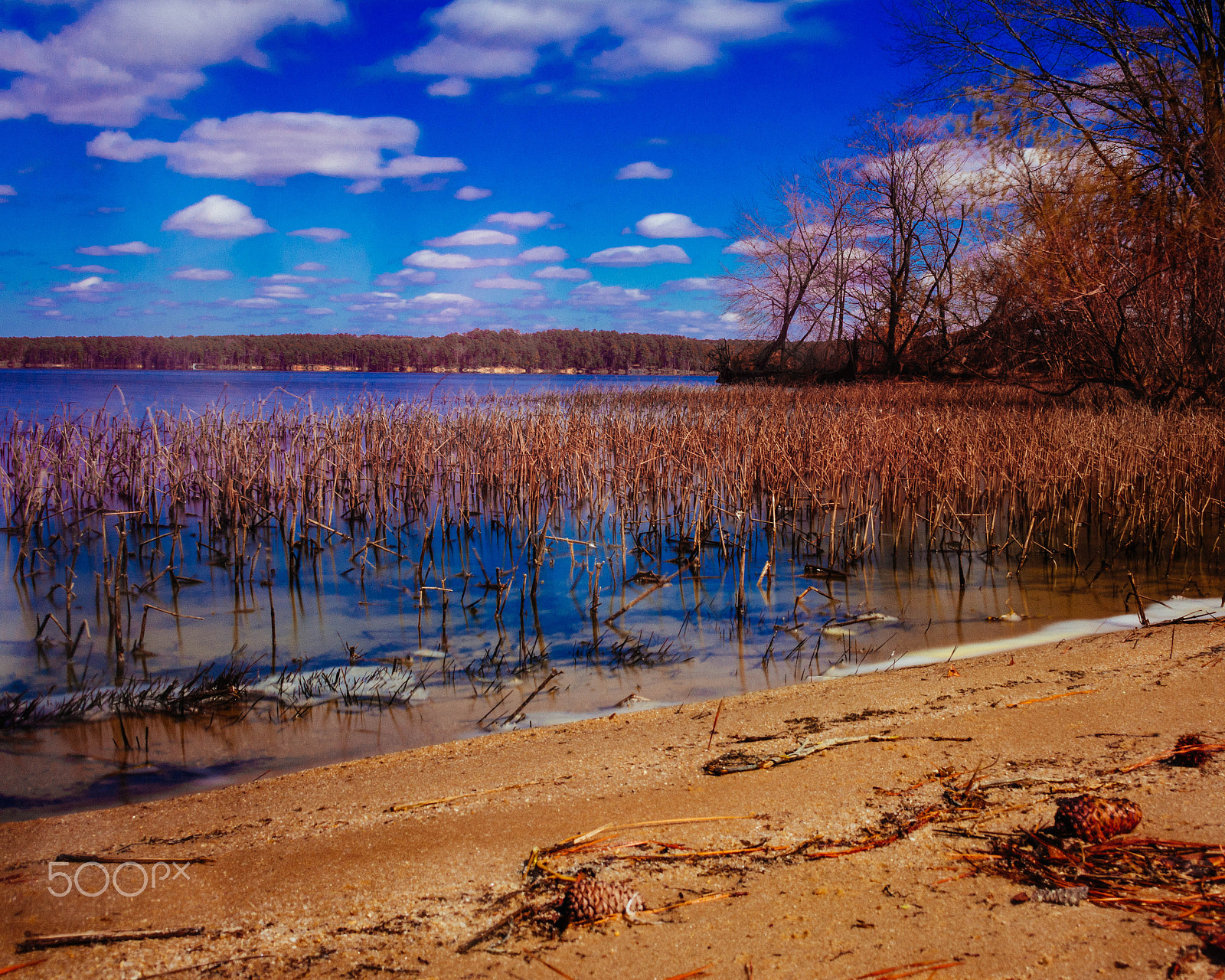 Nikon D7100 sample photo. Waterland blue sky photography