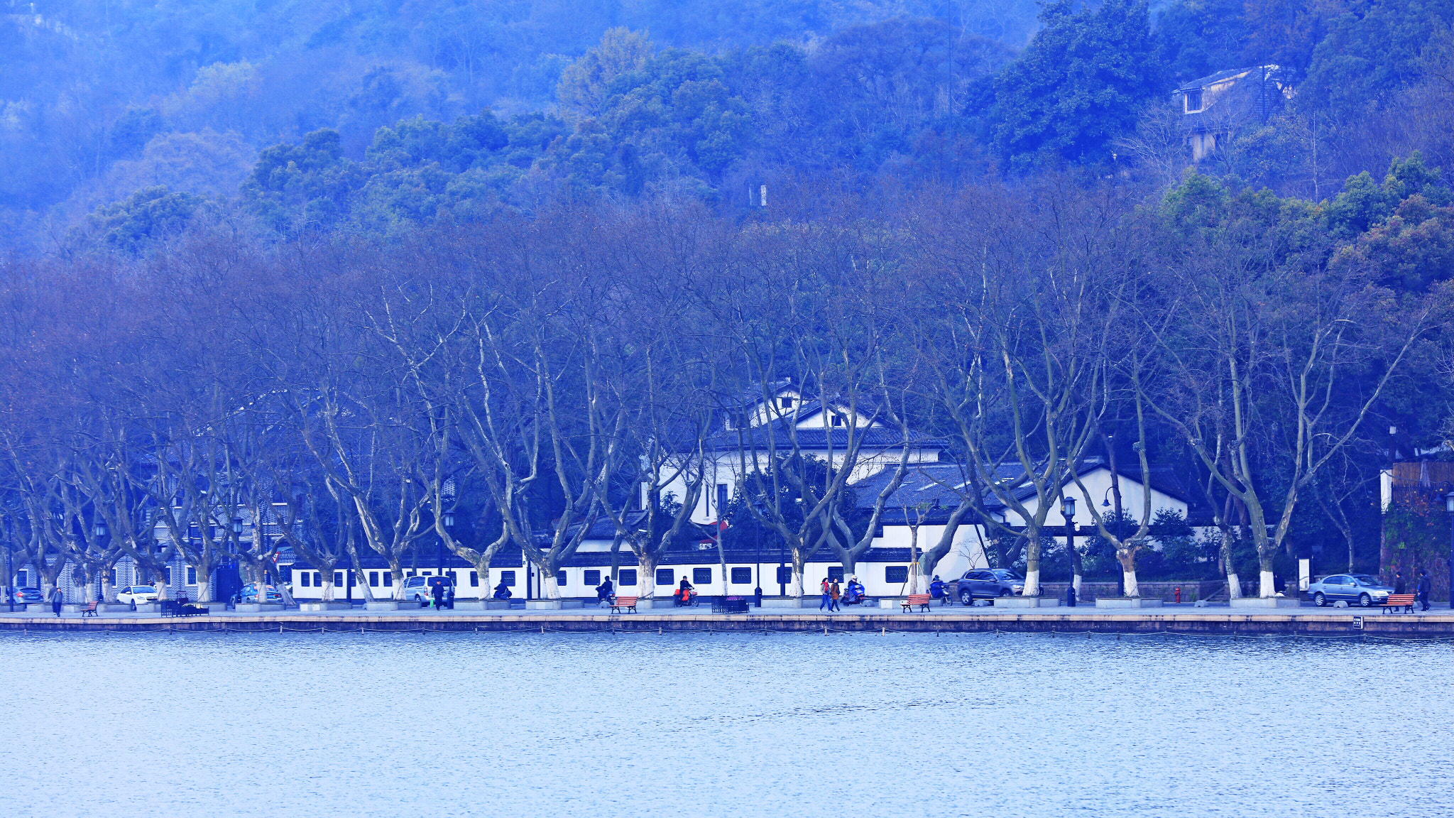 Canon EOS 5DS R sample photo
