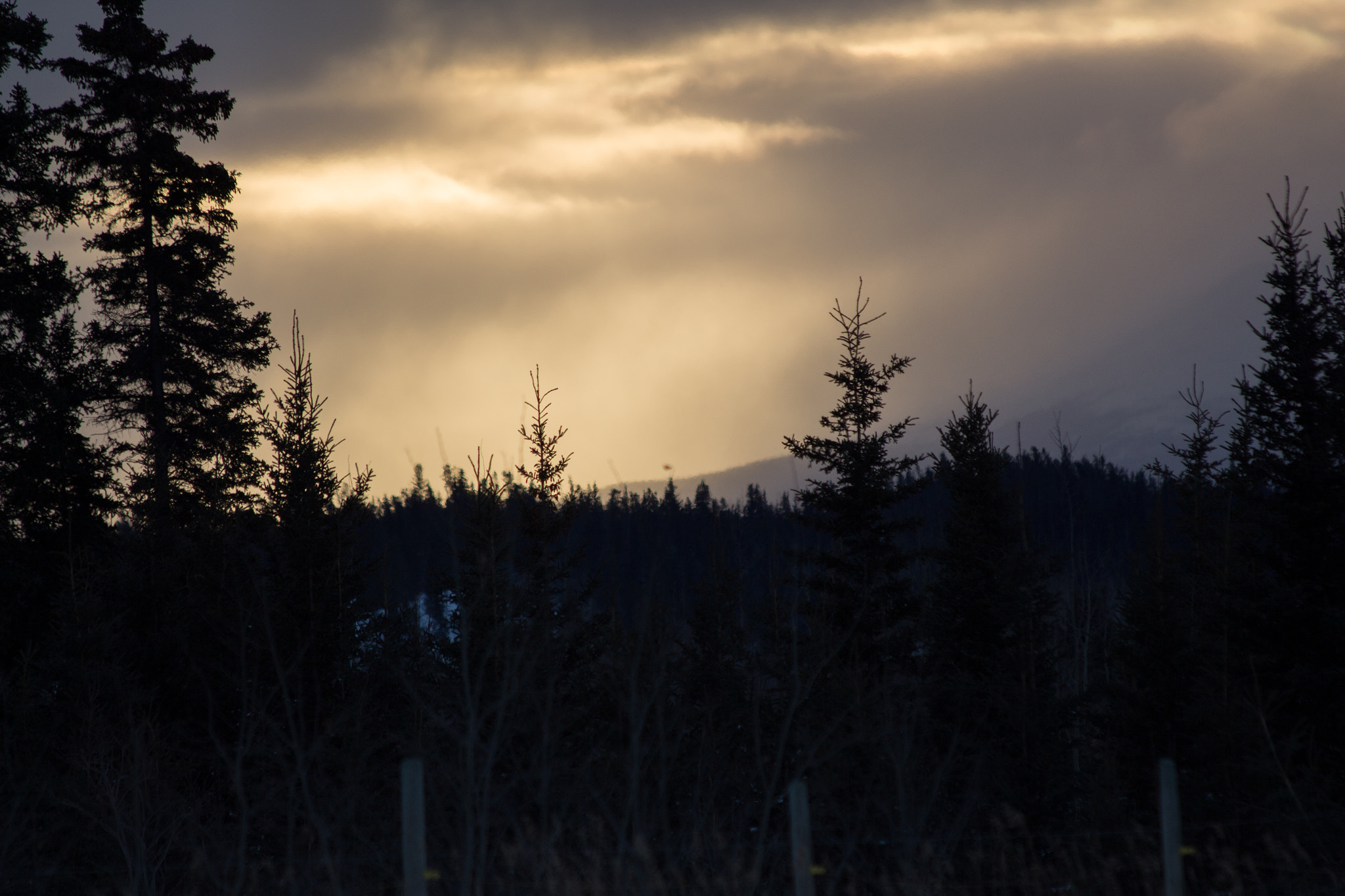 Canon EF 70-300mm F4-5.6 IS USM sample photo. Snowing on the mountain photography