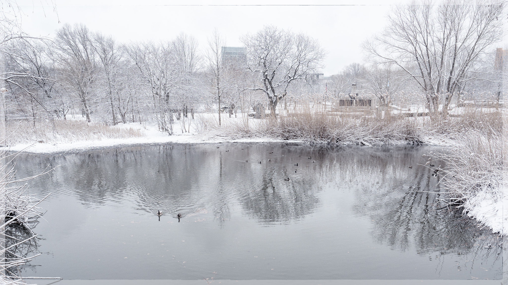Olympus OM-D E-M1 Mark II + Olympus M.Zuiko Digital ED 12-40mm F2.8 Pro sample photo. White out photography