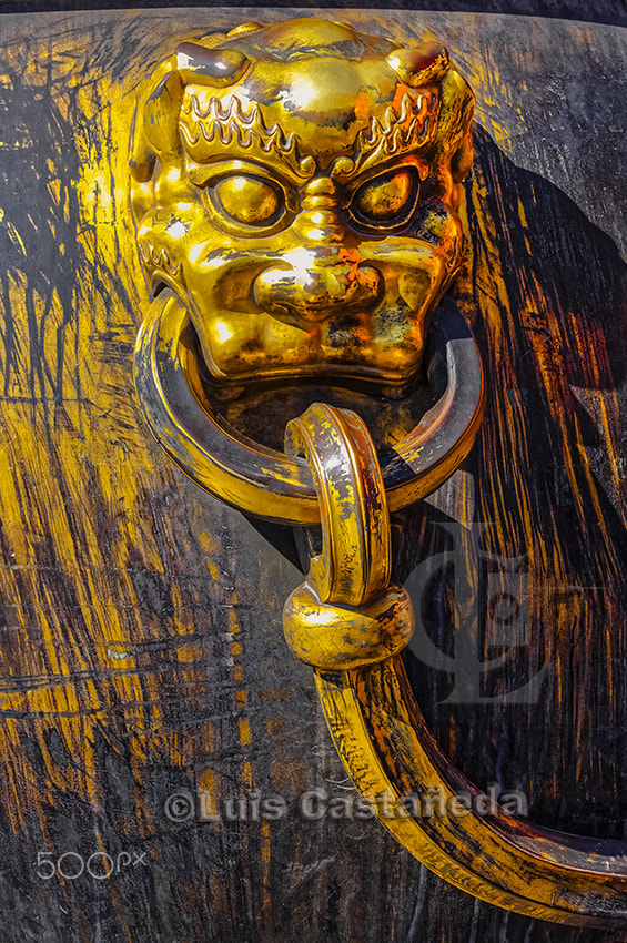 Pentax K20D sample photo. Bronze vat detail. the forbidden city. beijing. china. photography