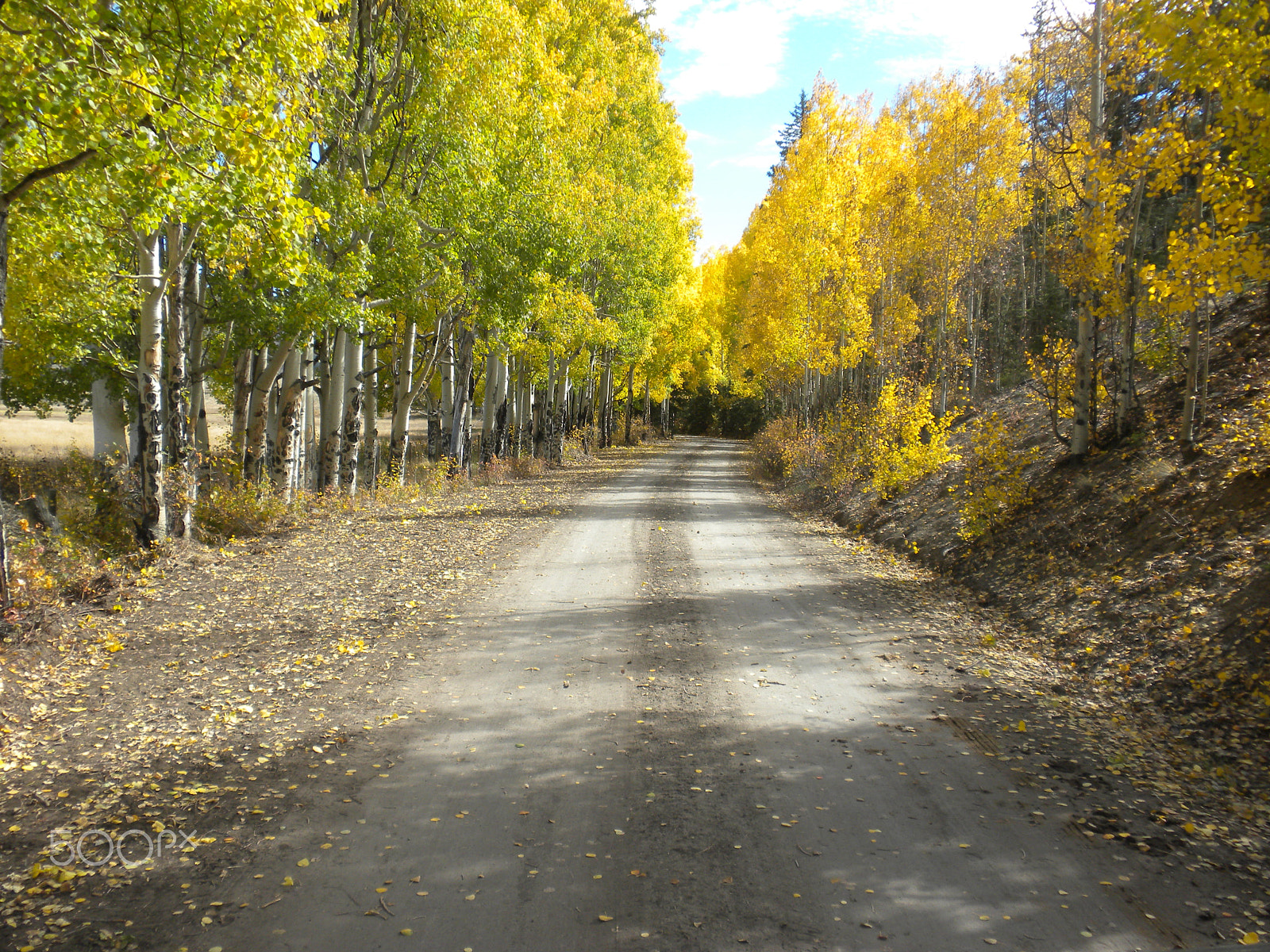 Nikon Coolpix S630 sample photo. Colorado back road photography