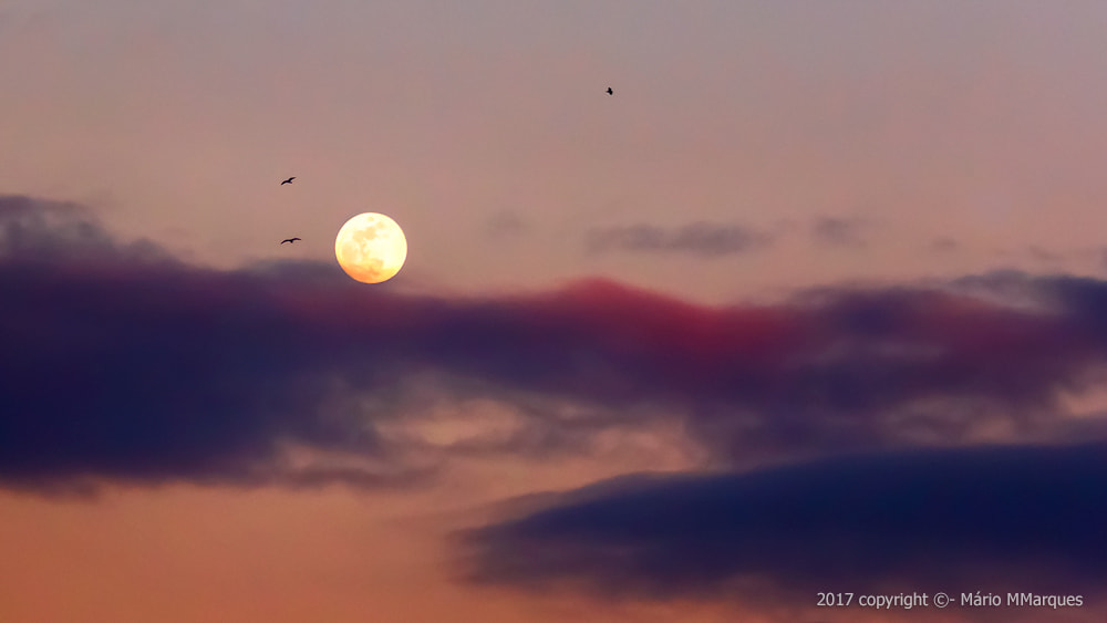 Canon EF 70-300mm F4-5.6 IS USM sample photo. Moon... photography