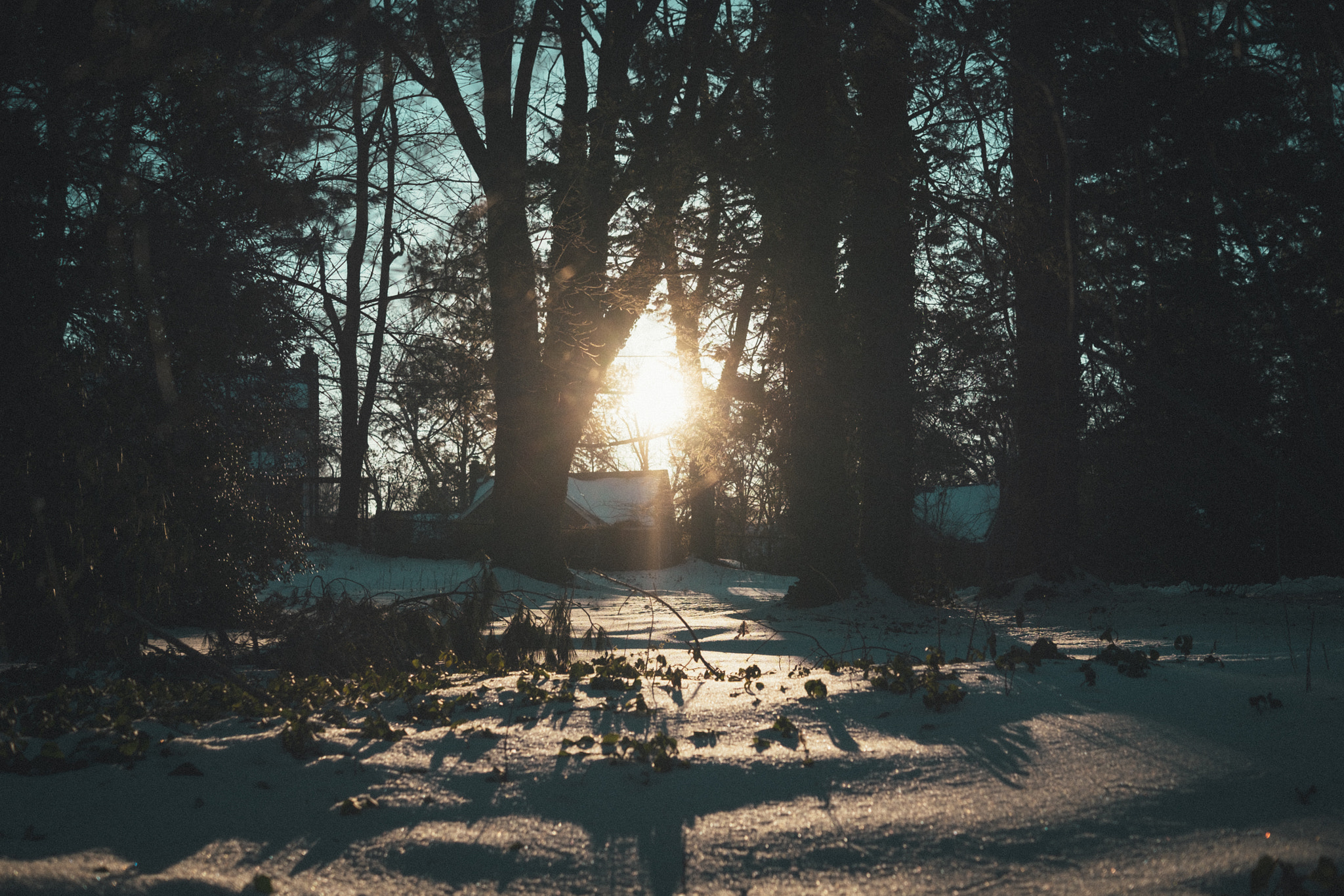 Fujifilm X-E1 + Fujifilm XF 27mm F2.8 sample photo. Winter sunrise photography