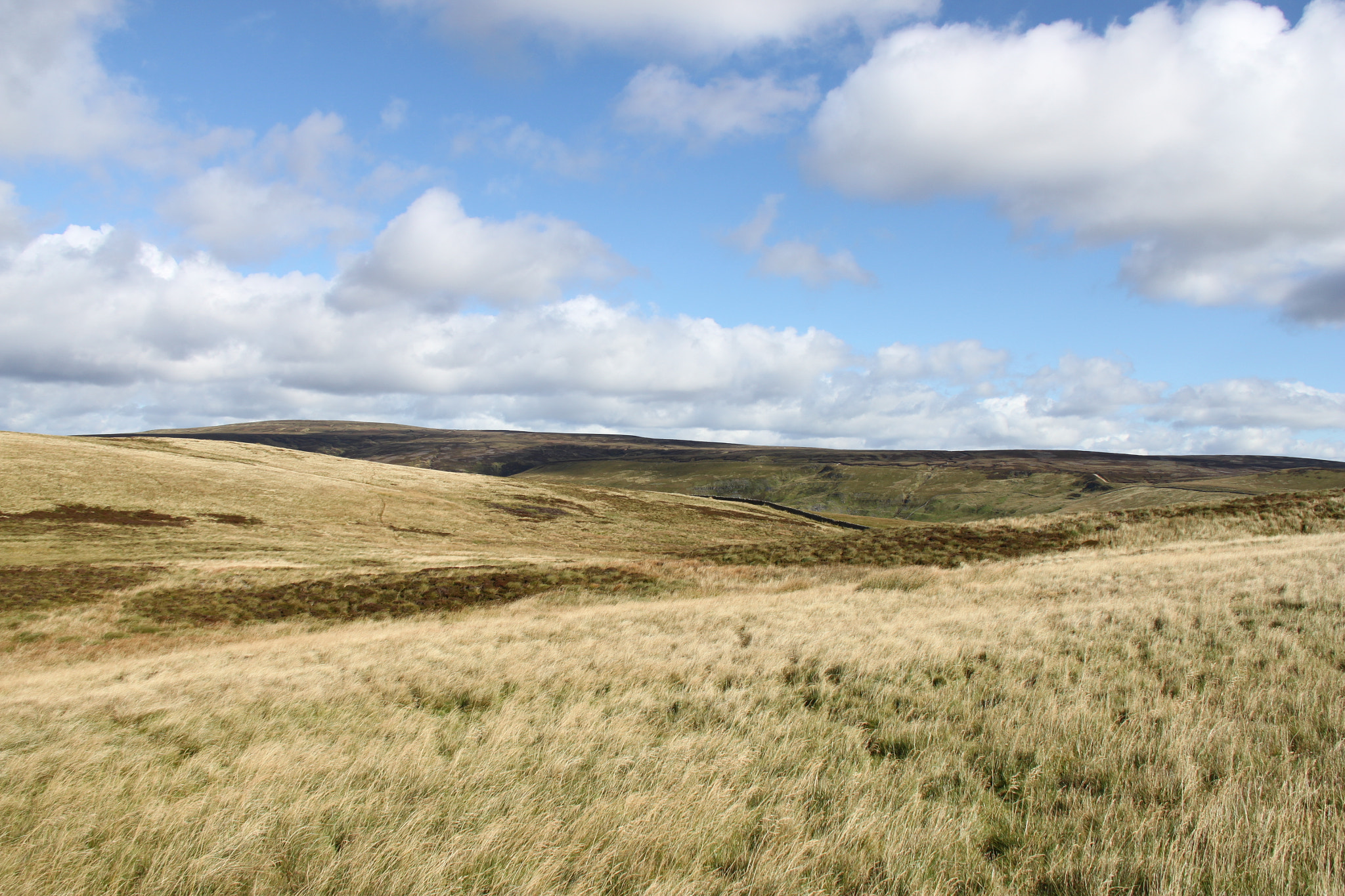 Canon EOS 500D (EOS Rebel T1i / EOS Kiss X3) + Canon EF-S 18-200mm F3.5-5.6 IS sample photo. Hill tops photography