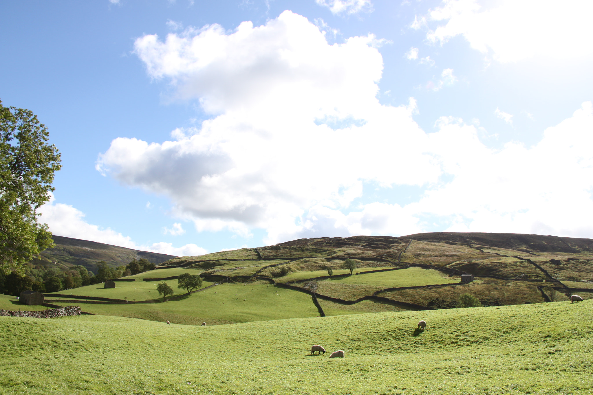 Canon EF-S 18-200mm F3.5-5.6 IS sample photo. Houses and pastures photography
