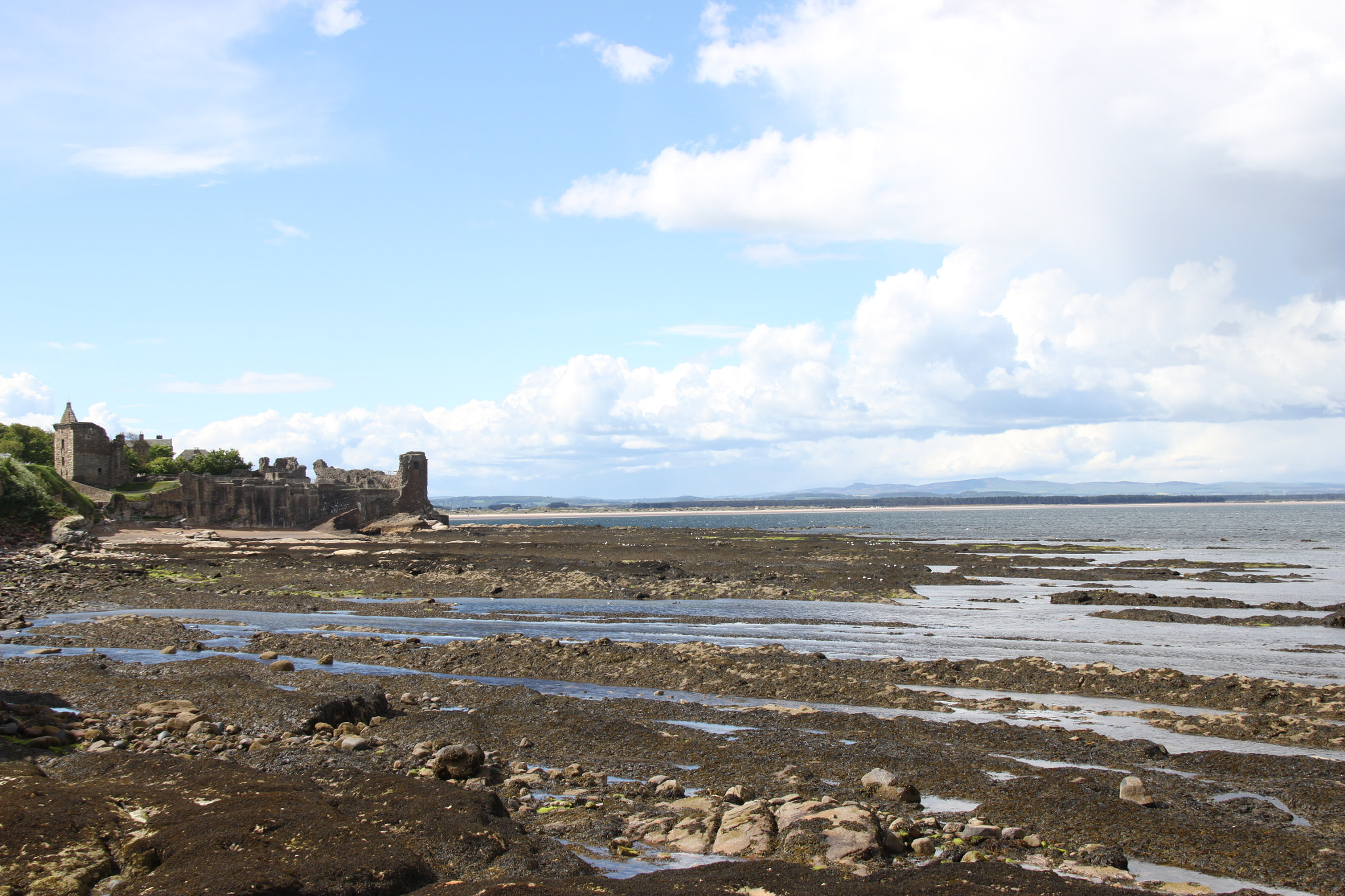 Canon EF-S 18-200mm F3.5-5.6 IS sample photo. Low tide on the water photography