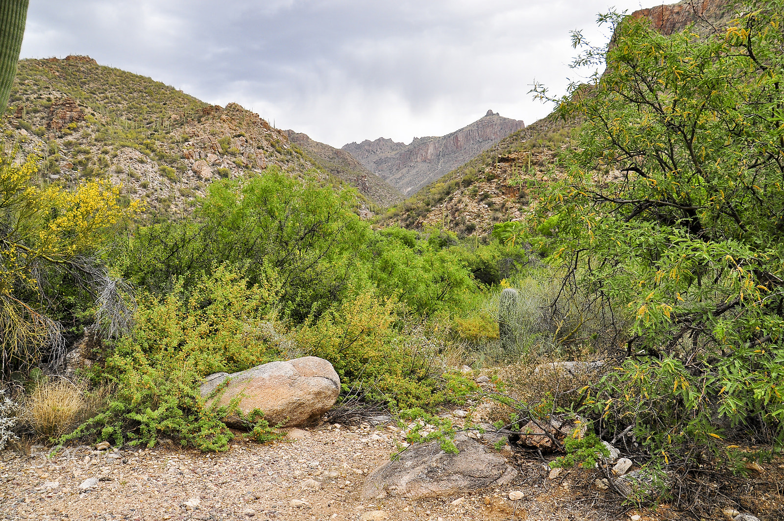 Nikon D5000 sample photo. Desert and rock photography