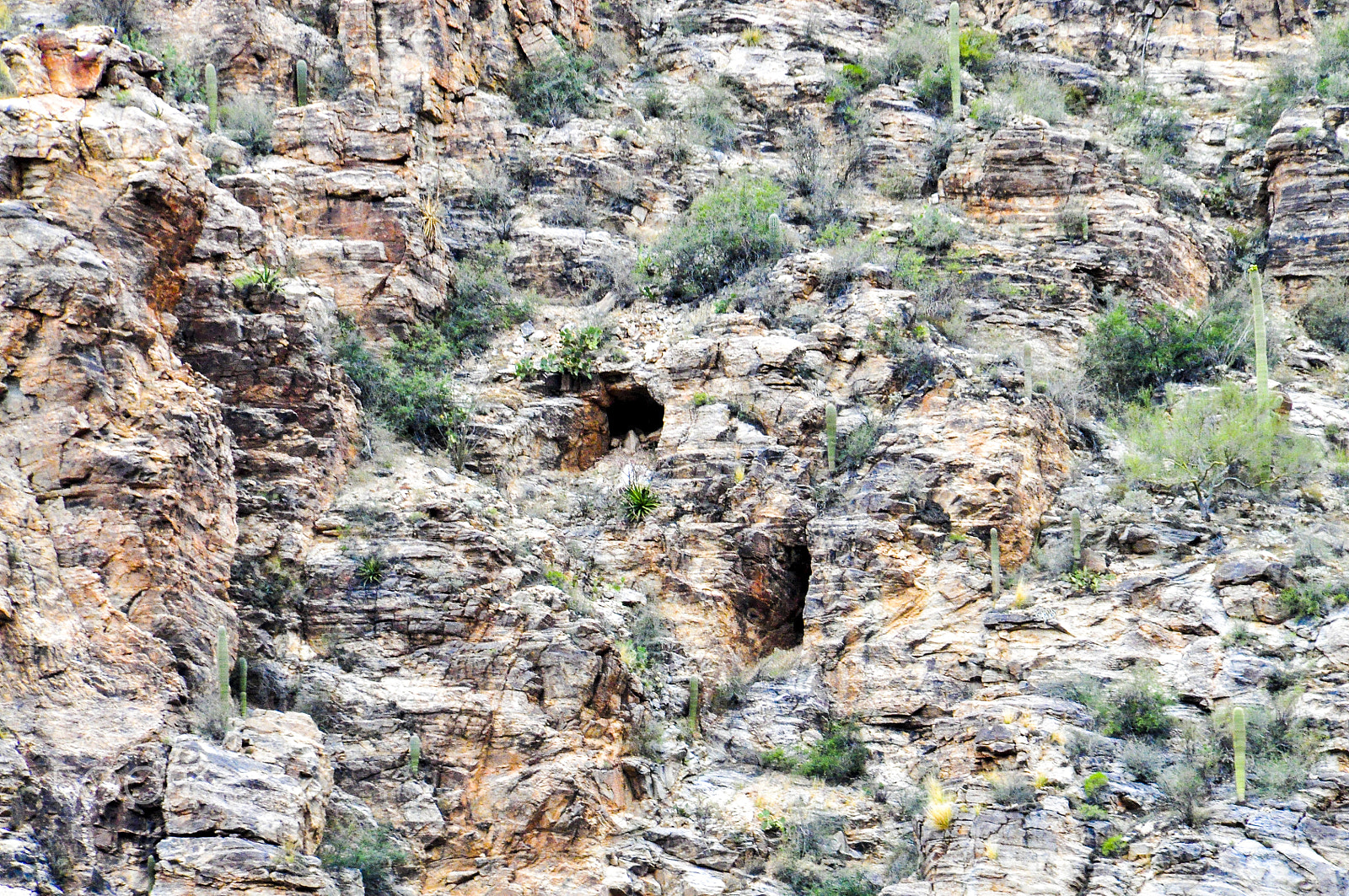Nikon D5000 sample photo. Desert caves photography