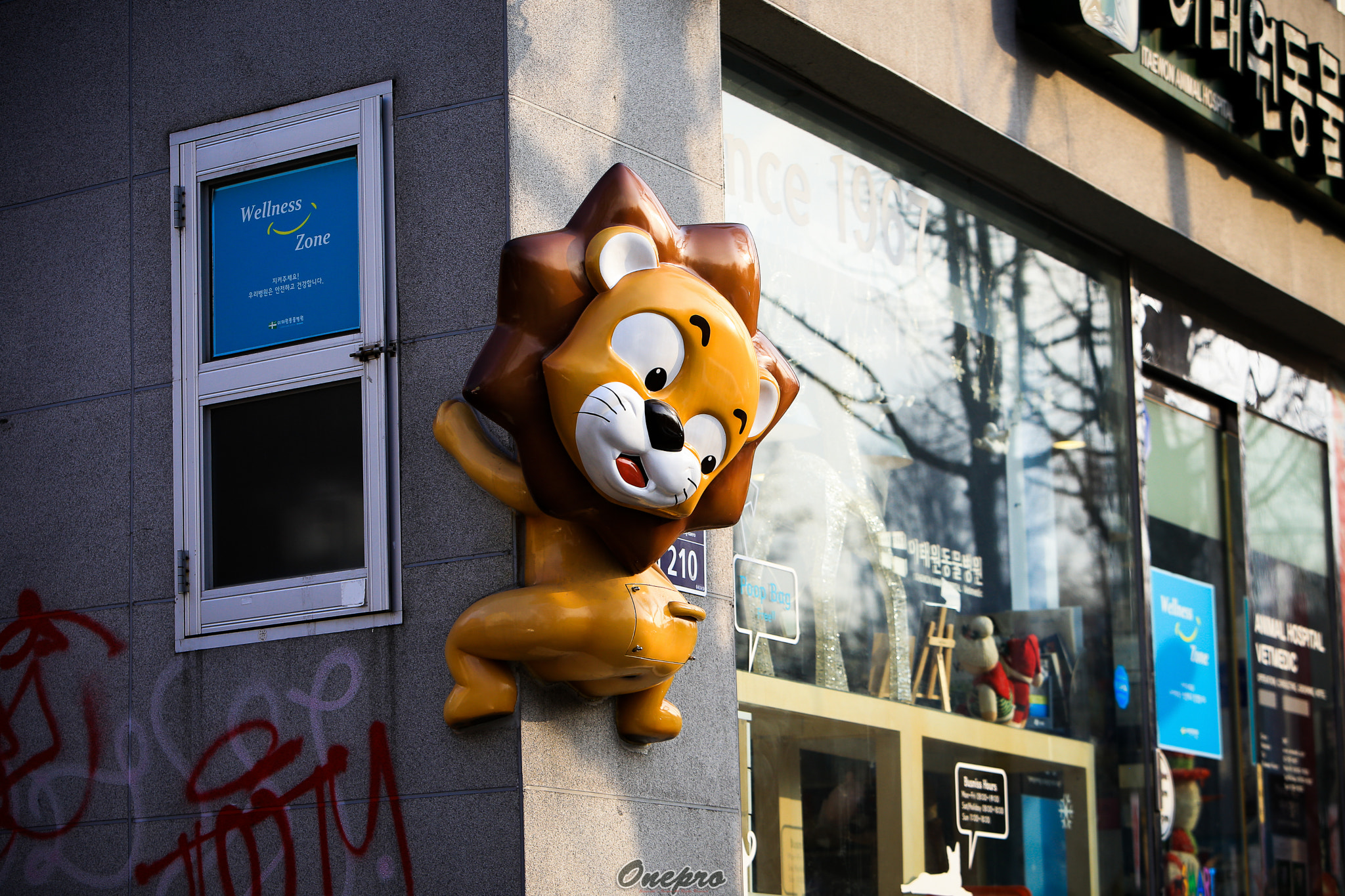 Canon EF 70-200mm F2.8L IS USM sample photo. Onepro - 동물병원 (animal hospital) photography