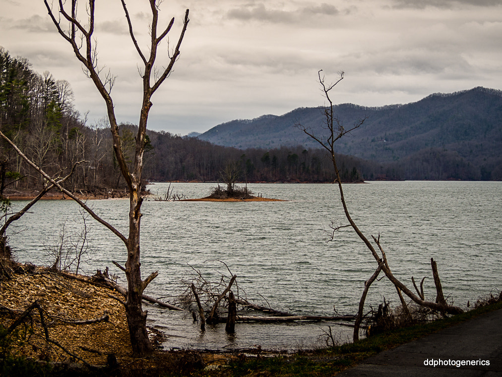 Olympus OM-D E-M10 II sample photo. Islet at the lake... photography