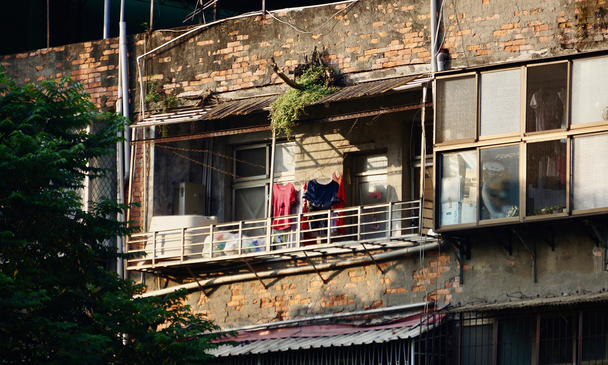Sony E 55-210mm F4.5-6.3 OSS sample photo. Rear windows photography